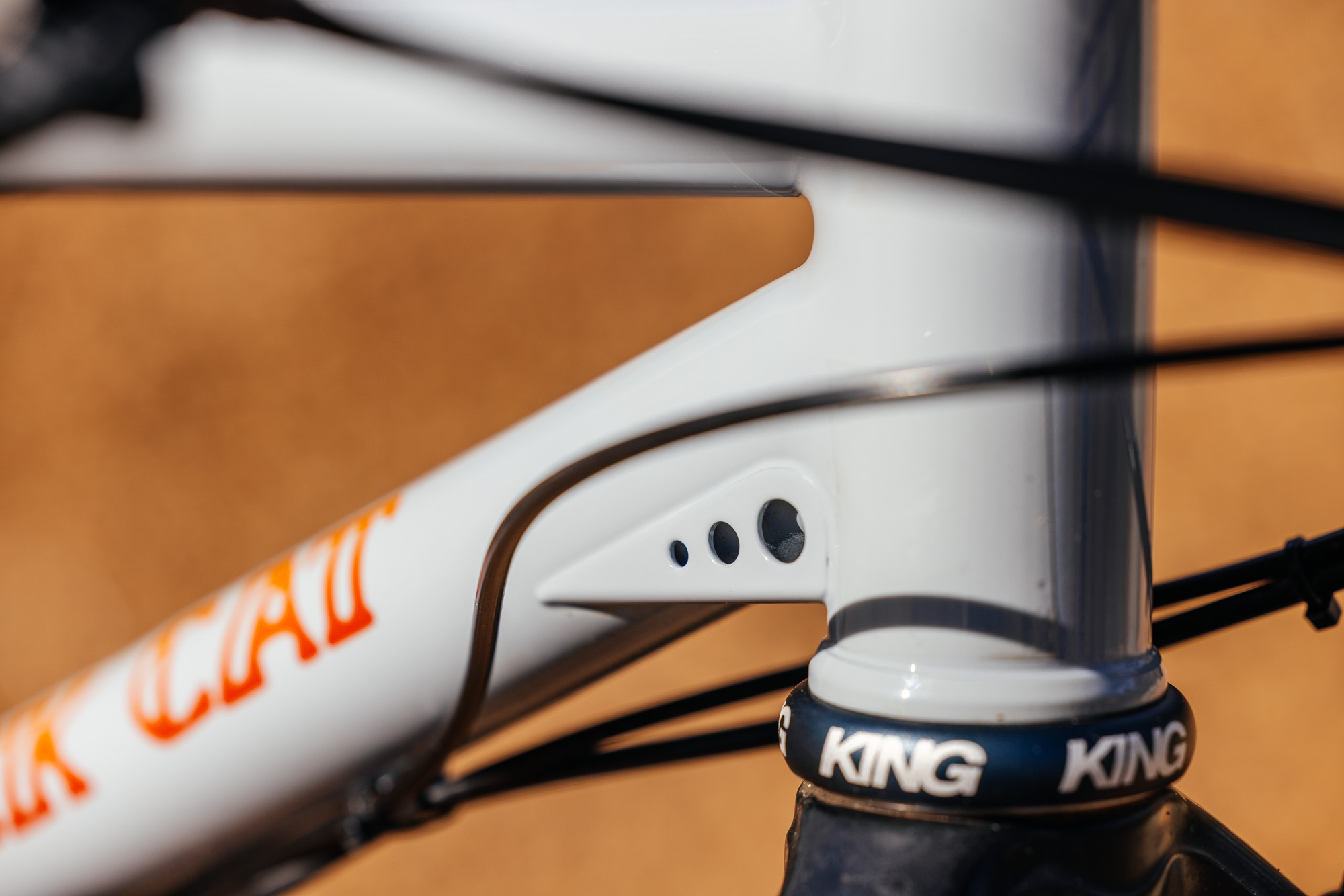 Daniel and His Black Cat Fat Hardtail