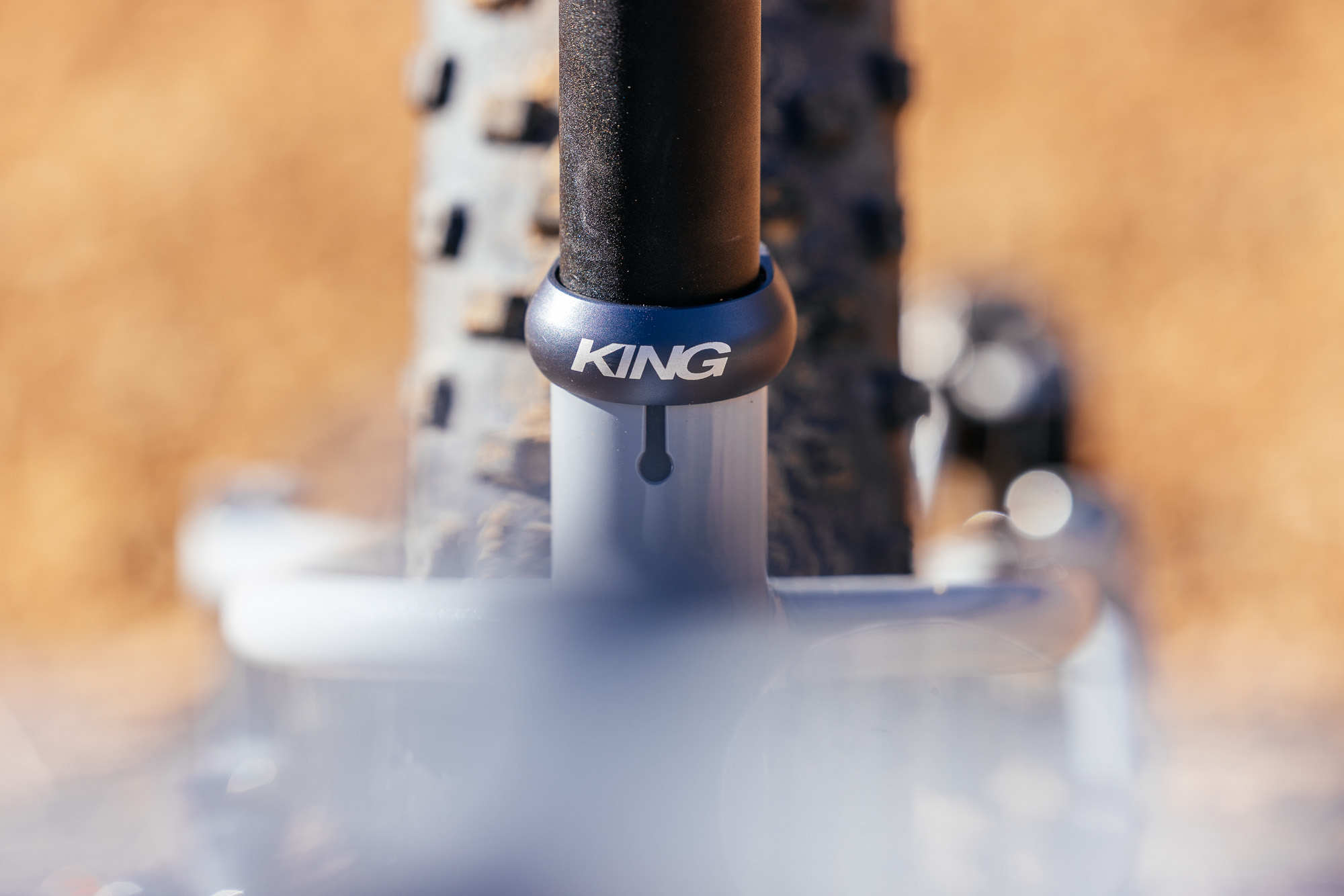 Daniel and His Black Cat Fat Hardtail