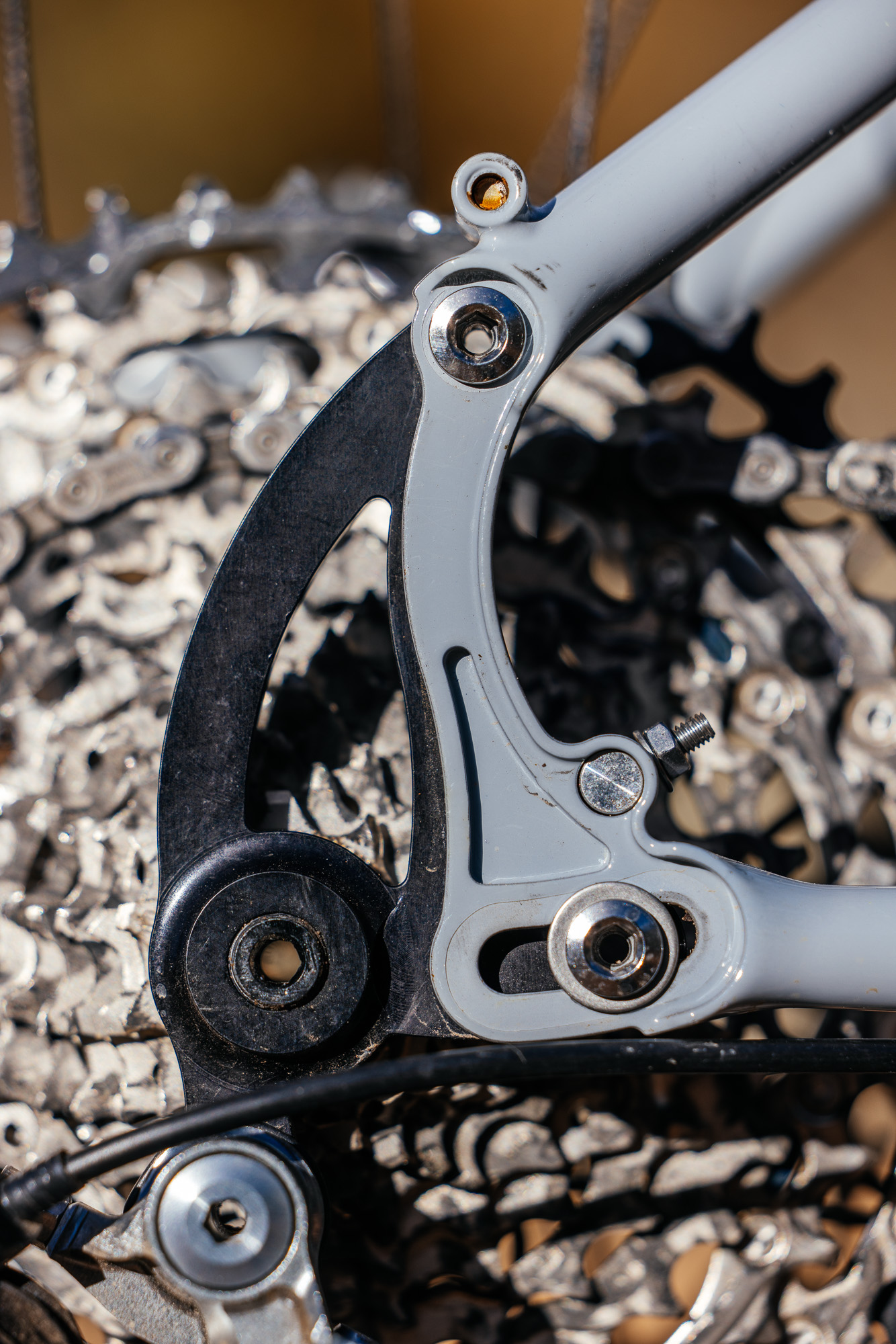 Daniel and His Black Cat Fat Hardtail