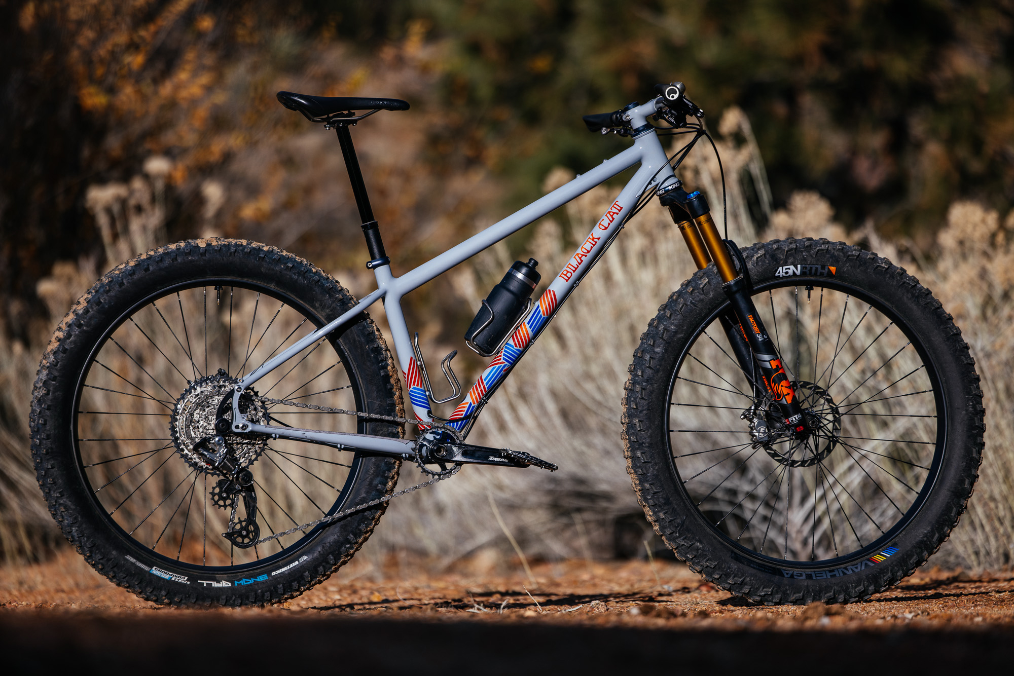 Daniel and His Black Cat Fat Hardtail