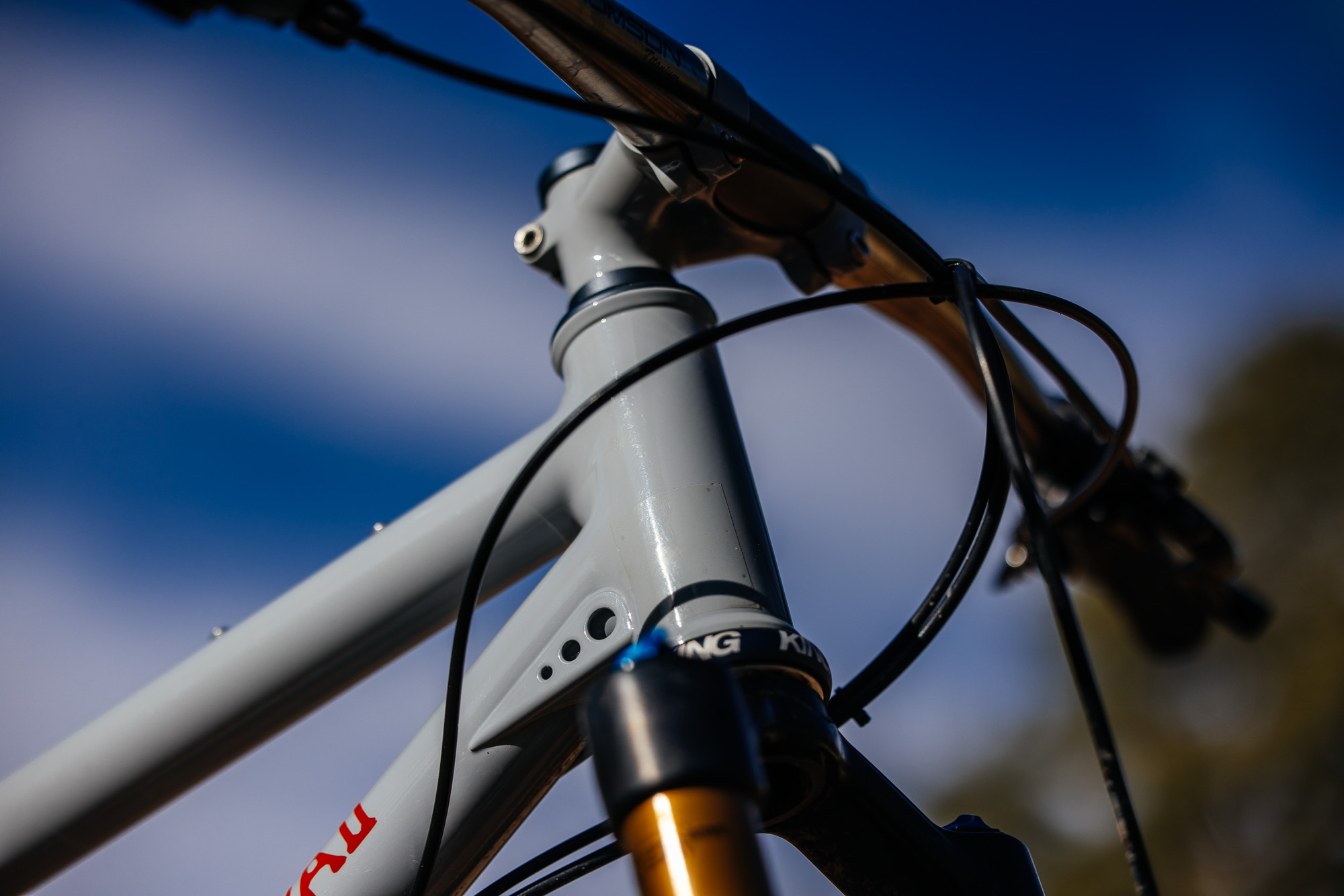 Daniel and His Black Cat Fat Hardtail