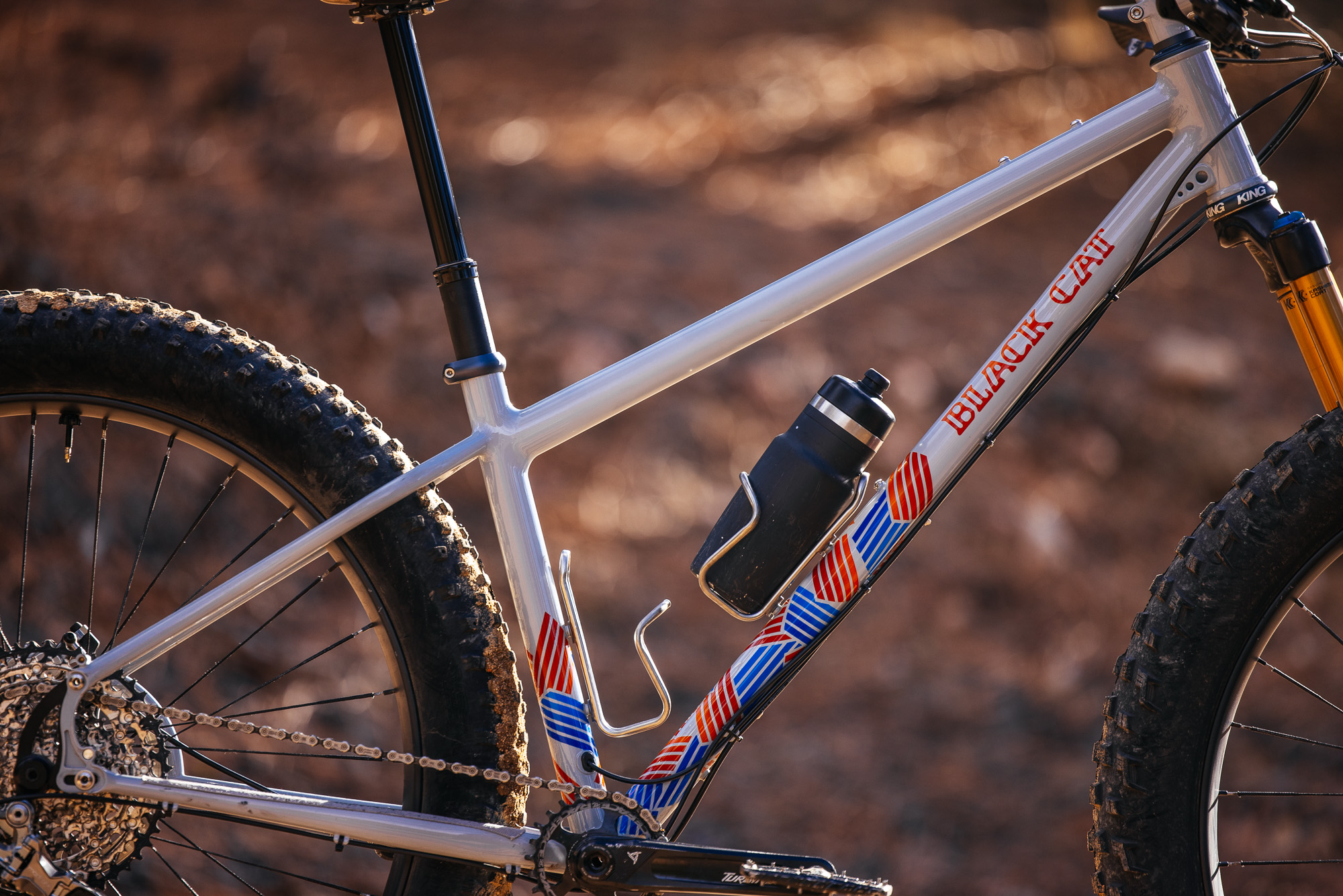 Daniel and His Black Cat Fat Hardtail