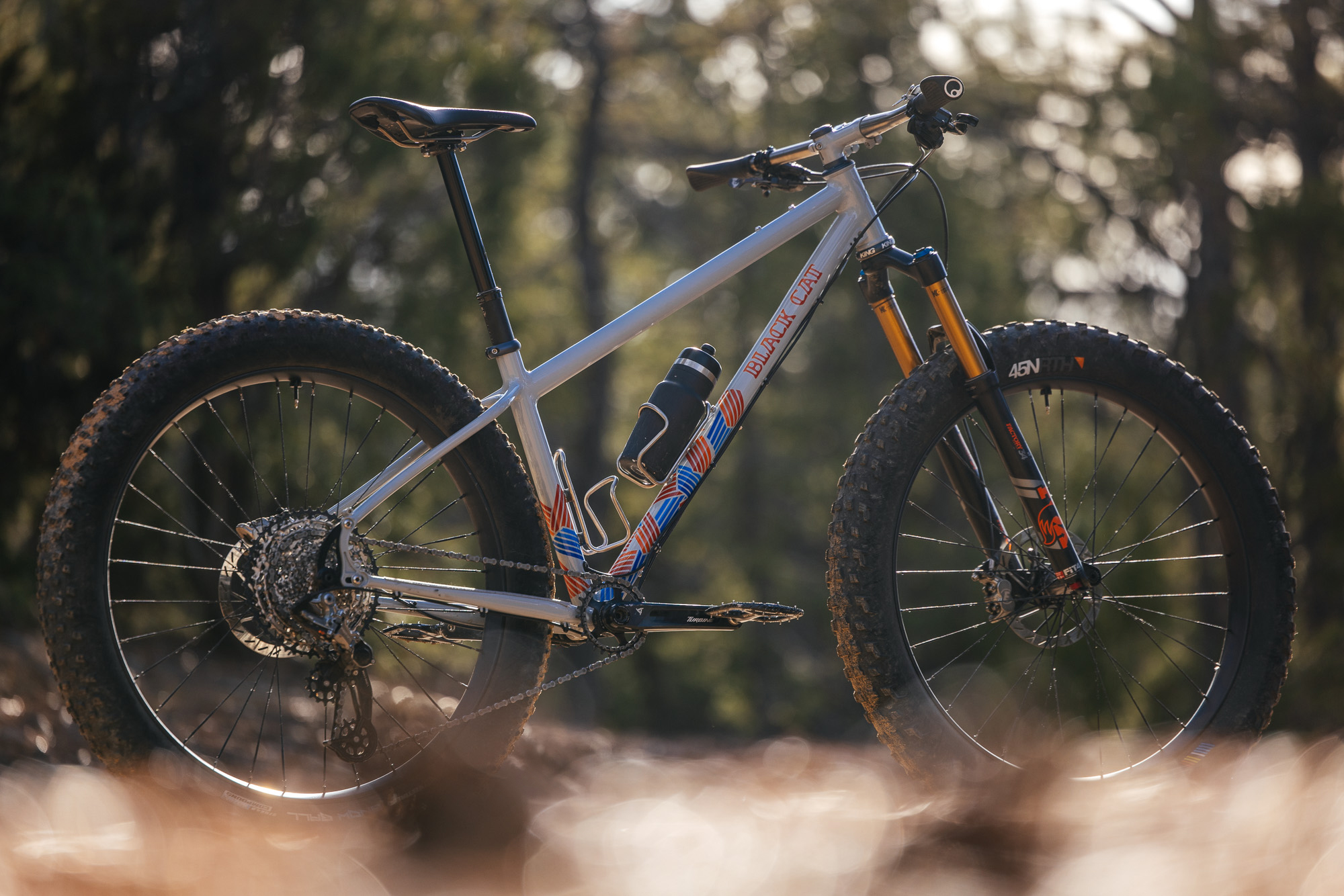 Daniel and His Black Cat Fat Hardtail