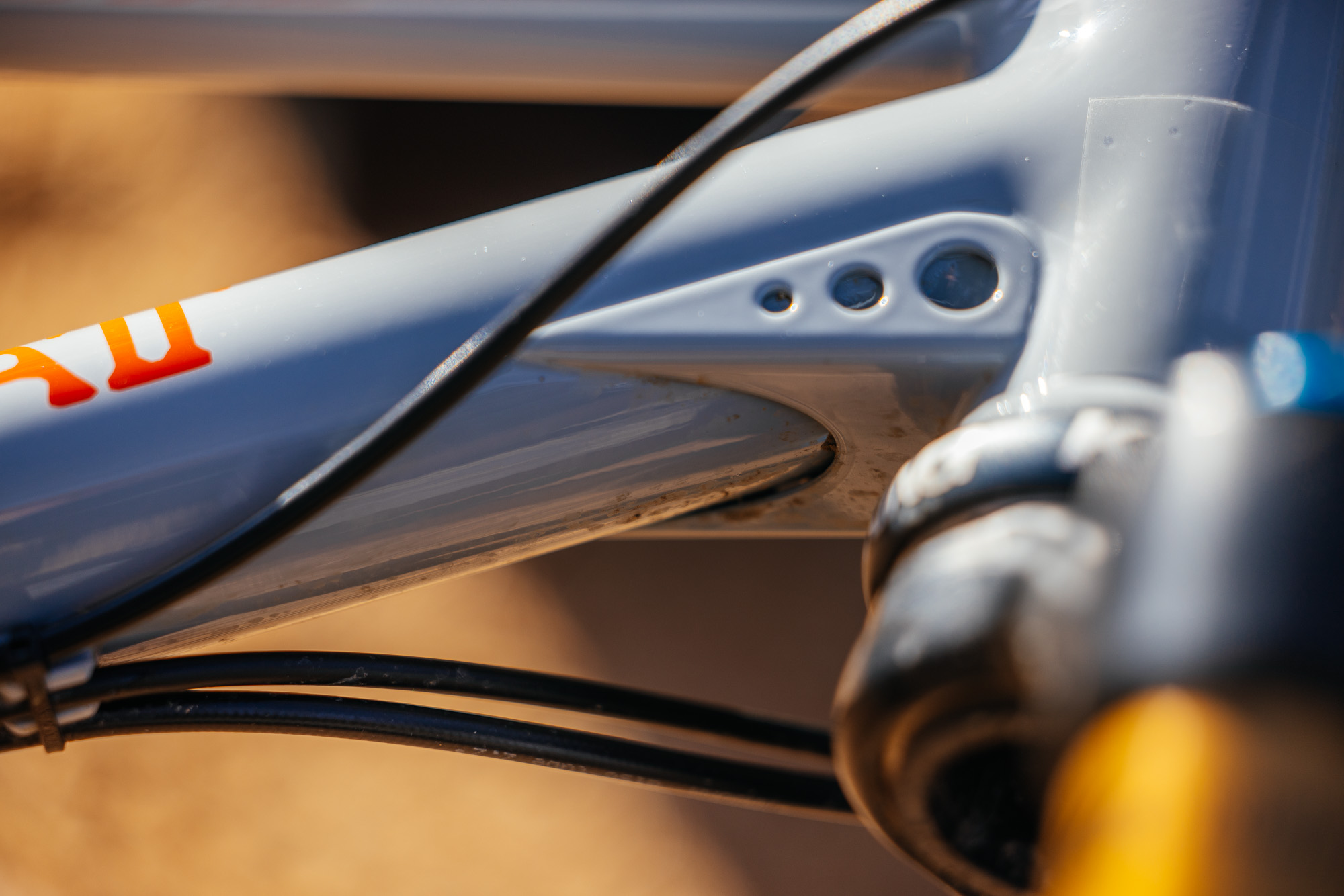 Daniel and His Black Cat Fat Hardtail