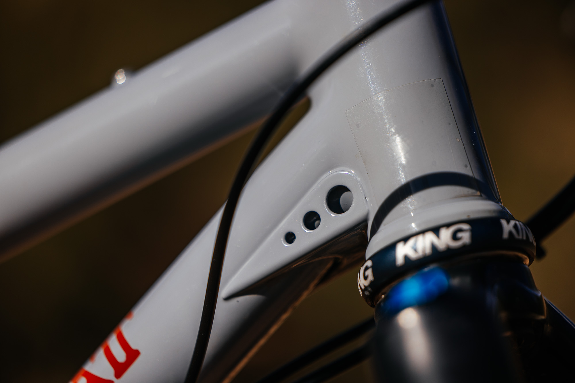 Daniel and His Black Cat Fat Hardtail