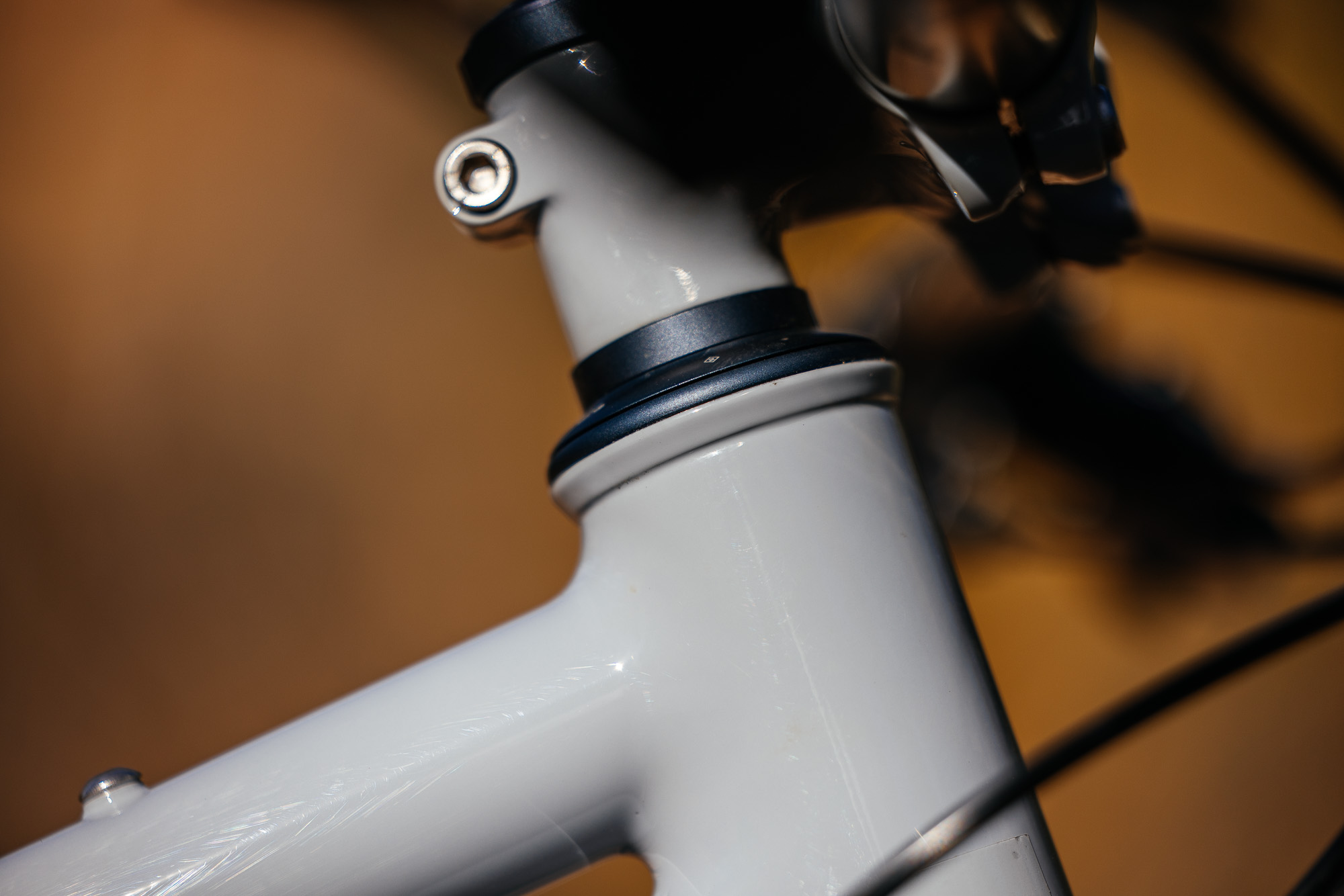 Daniel and His Black Cat Fat Hardtail