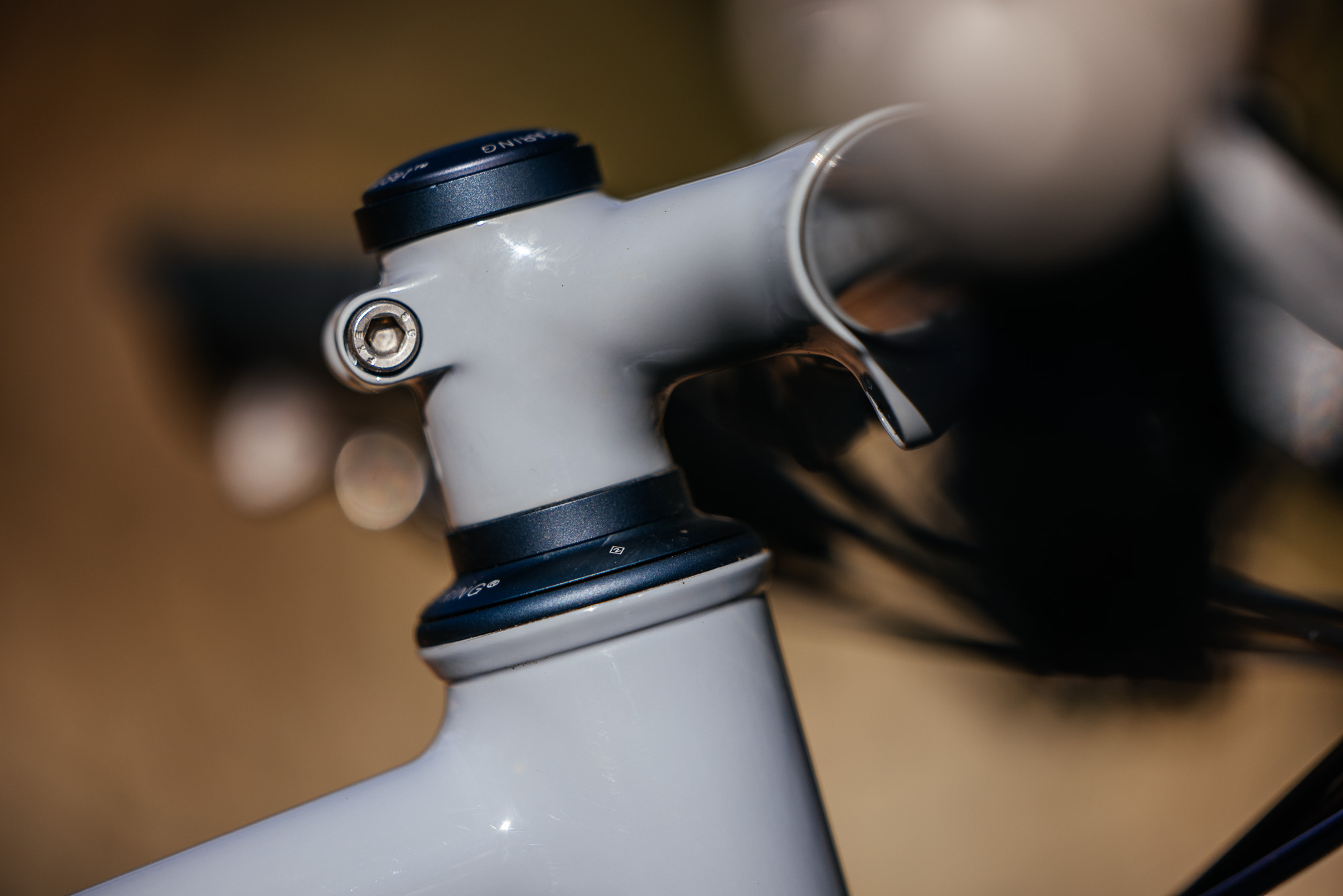 Daniel and His Black Cat Fat Hardtail