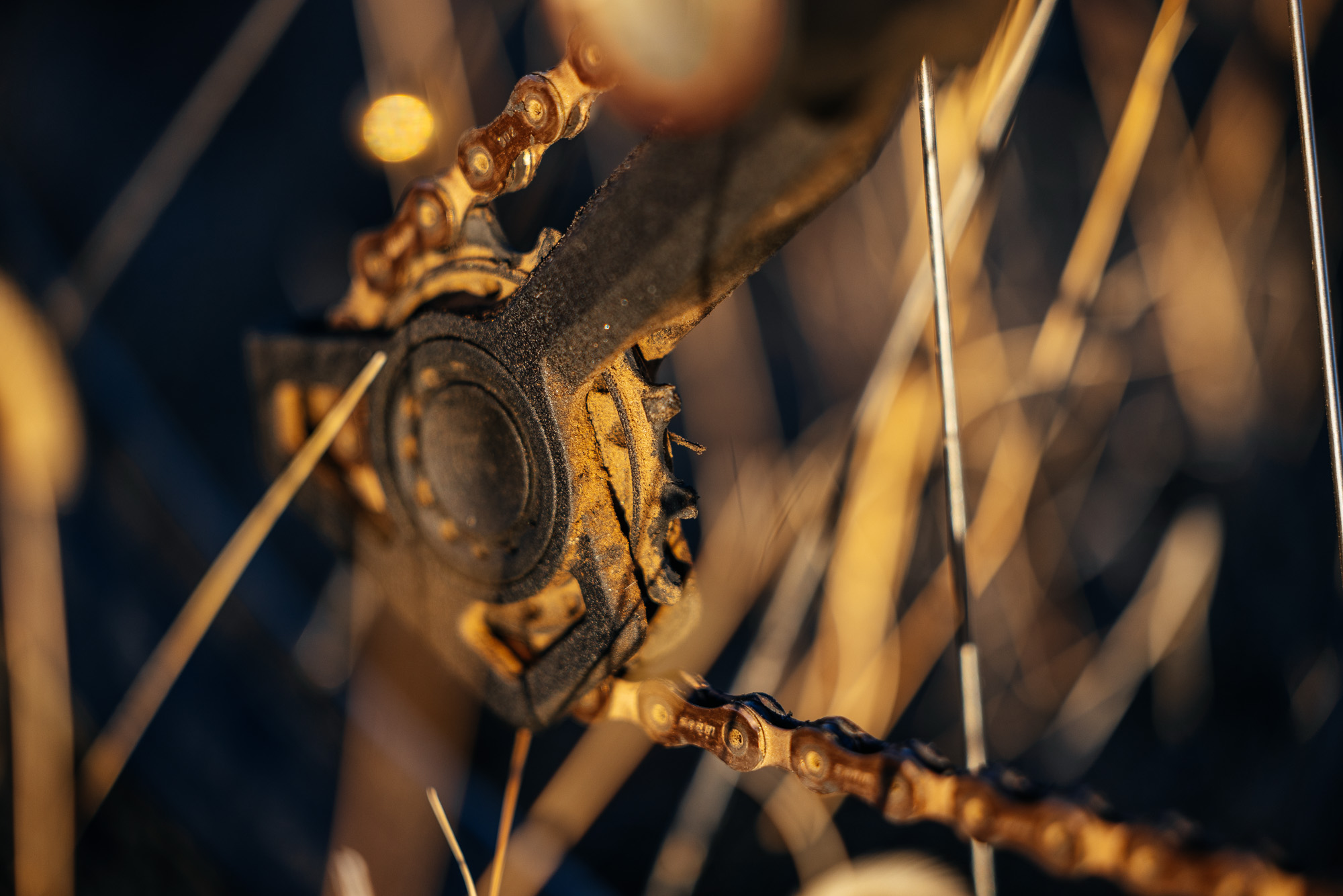 Ingrd Rd Ingrid RD1 MK3 Derailleur Long-Term Review: Gucci Loafers for Your Bike ...