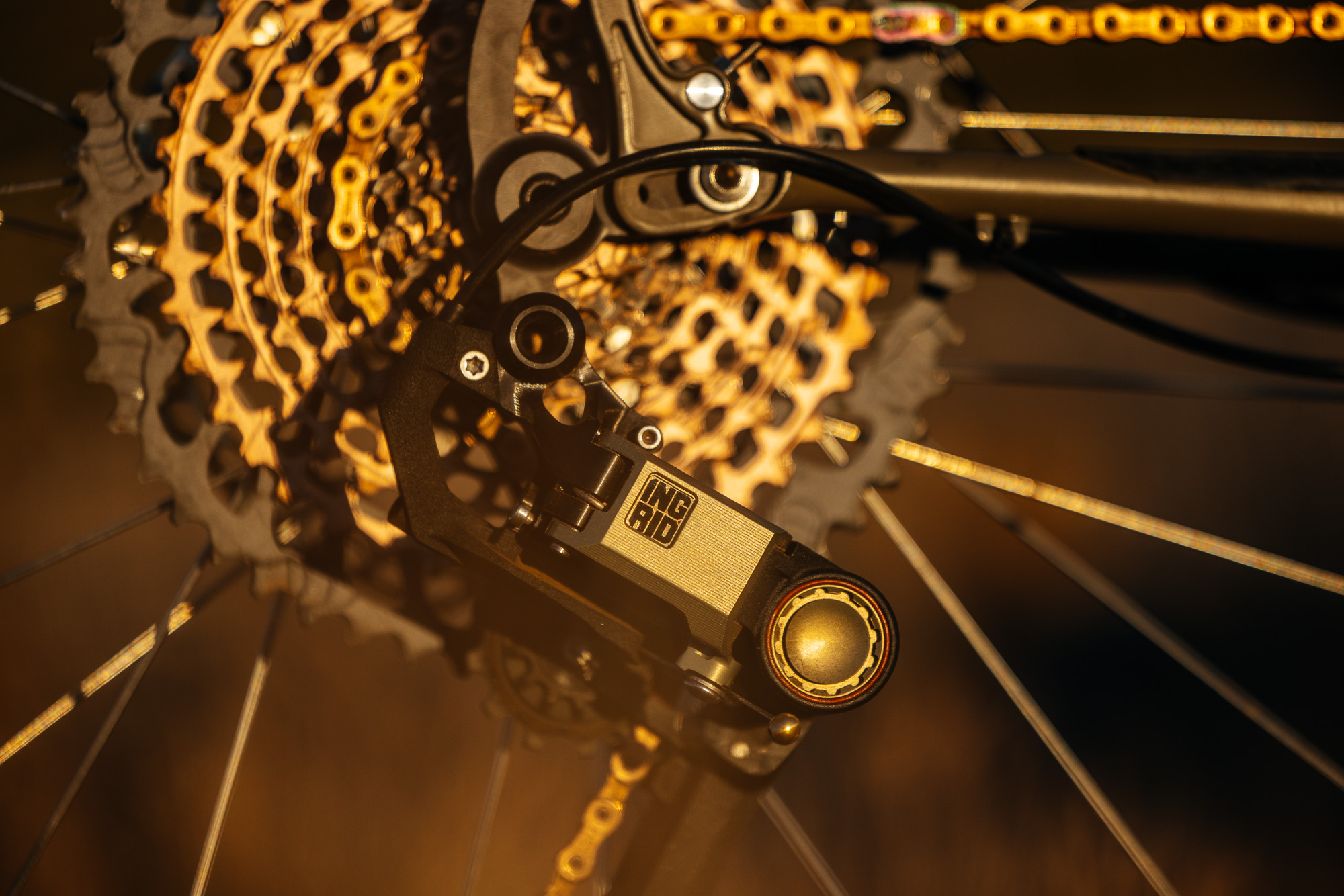 Ingrid RD1 MK3 Derailleur Long-Term Review: Gucci Loafers for Your Bike ...