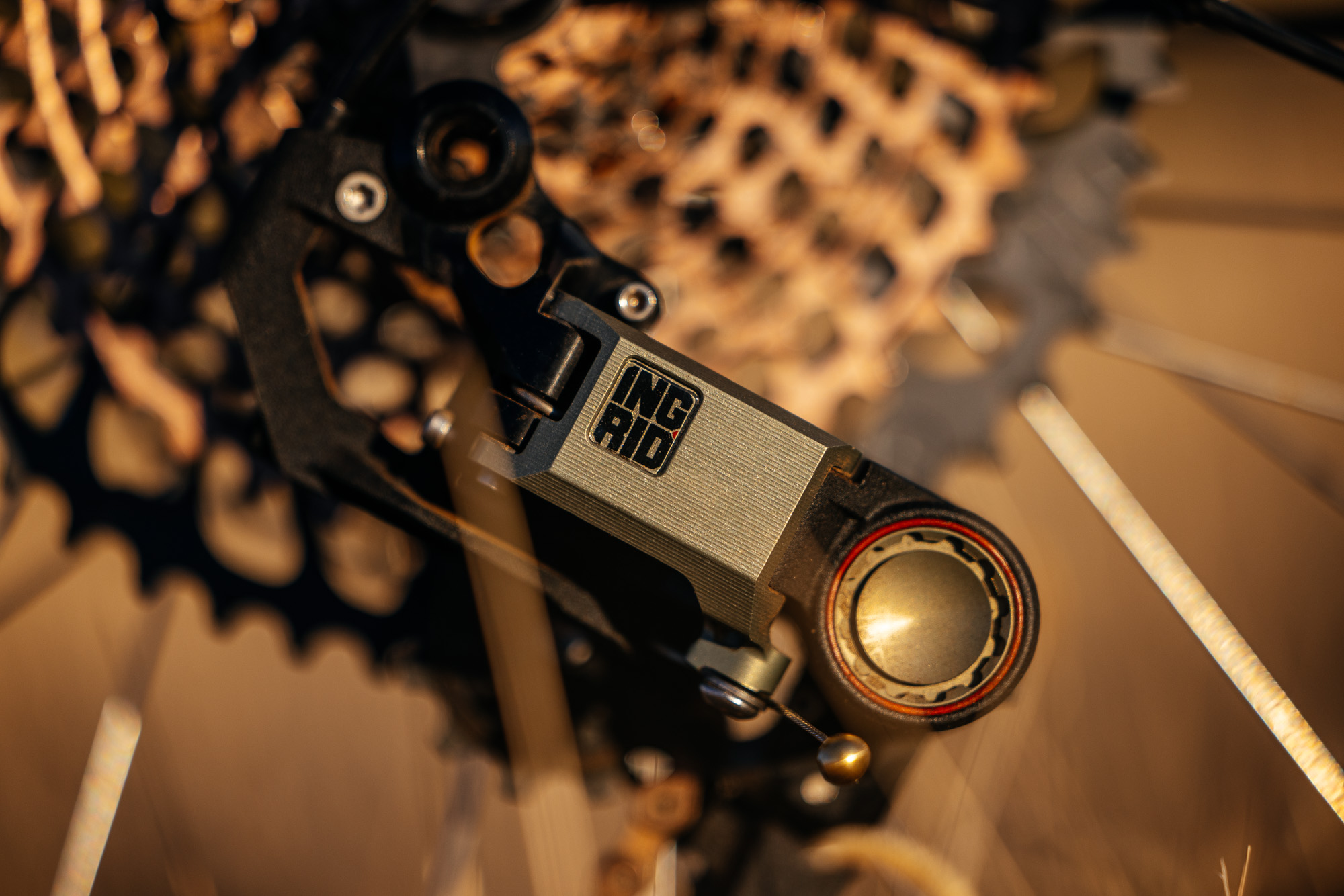 Ingrid RD1 MK3 Derailleur Long-Term Review: Gucci Loafers for Your Bike ...