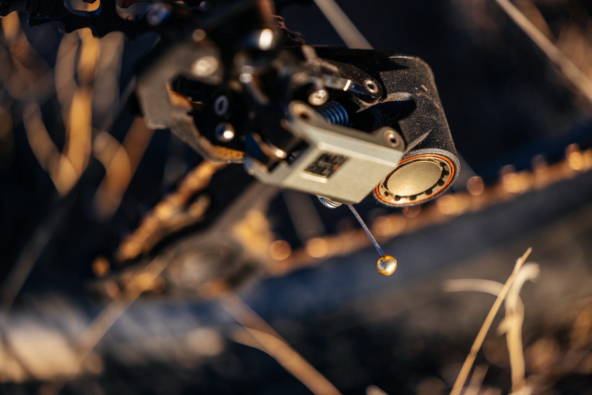 Ingrid RD1 MK3 Derailleur Long-Term Review: Gucci Loafers for Your Bike ...