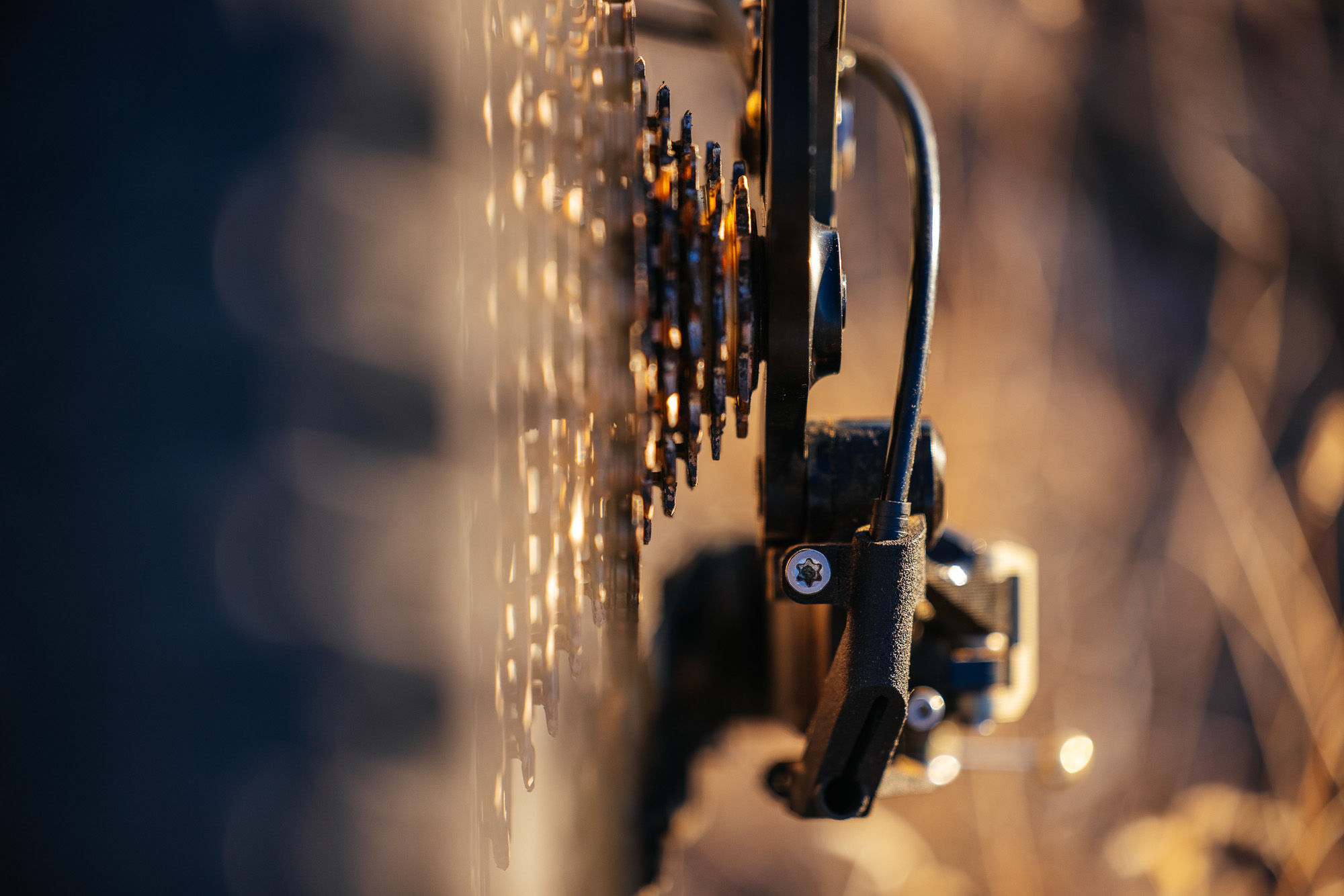 Ingrid RD1 MK3 Derailleur Long-Term Review: Gucci Loafers for Your Bike ...