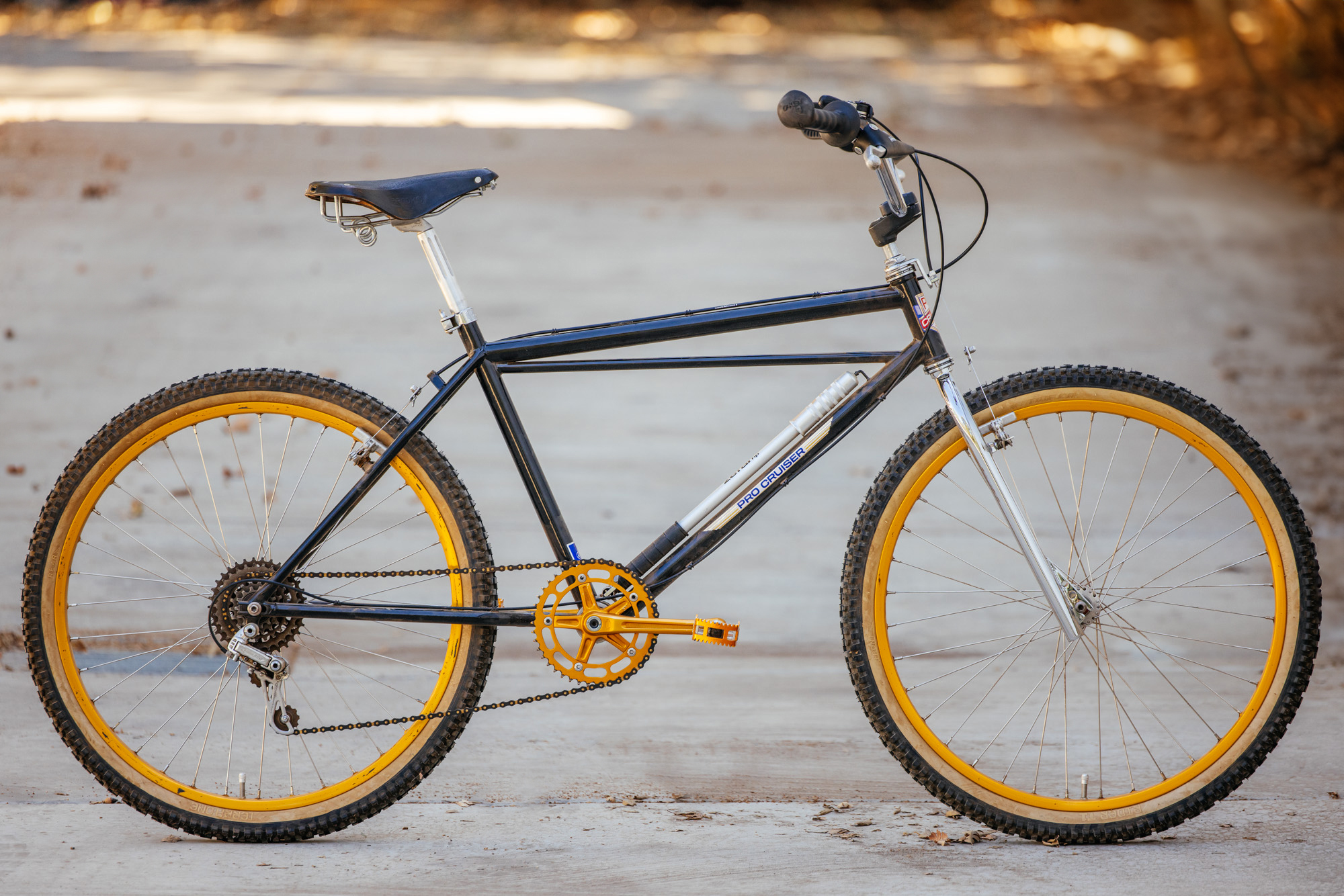 1979 Lawill Knight Pro Cruiser