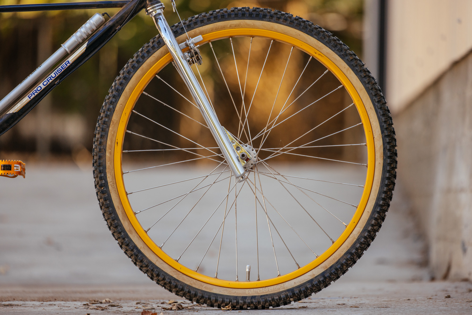 1979 Lawill Knight Pro Cruiser