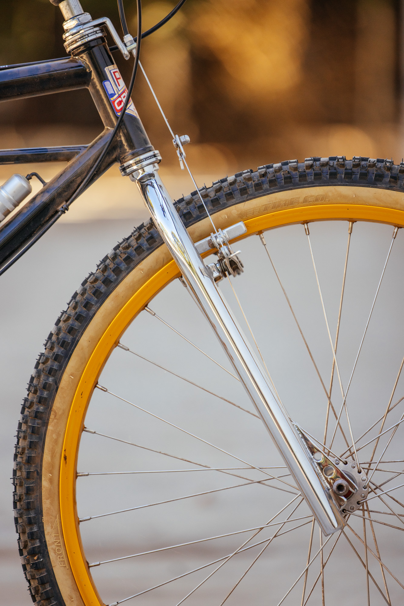 1979 Lawill Knight Pro Cruiser