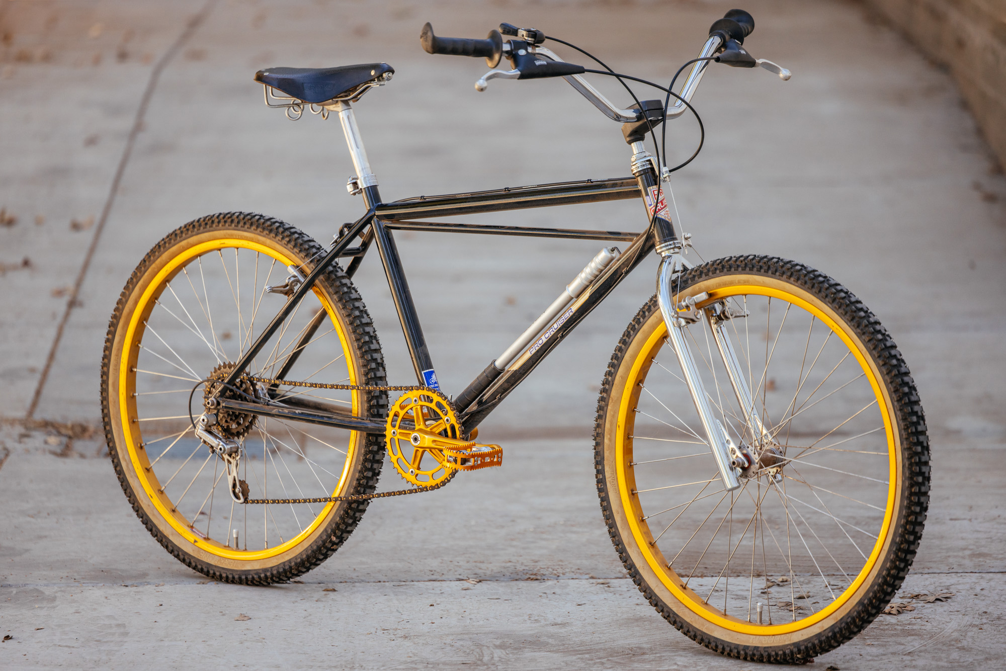 1979 Lawill Knight Pro Cruiser