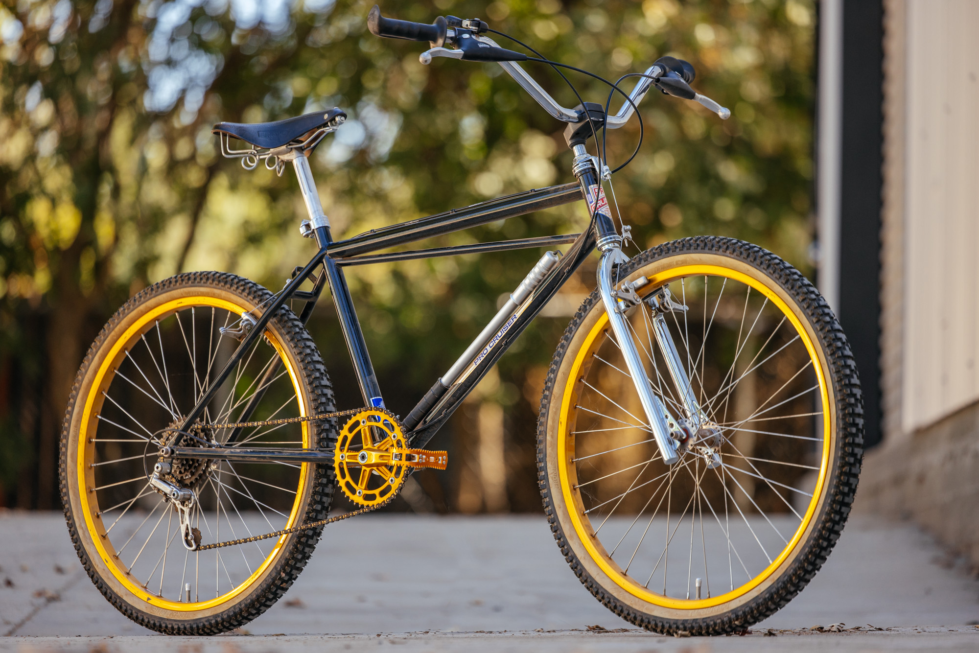 1979 Lawill Knight Pro Cruiser