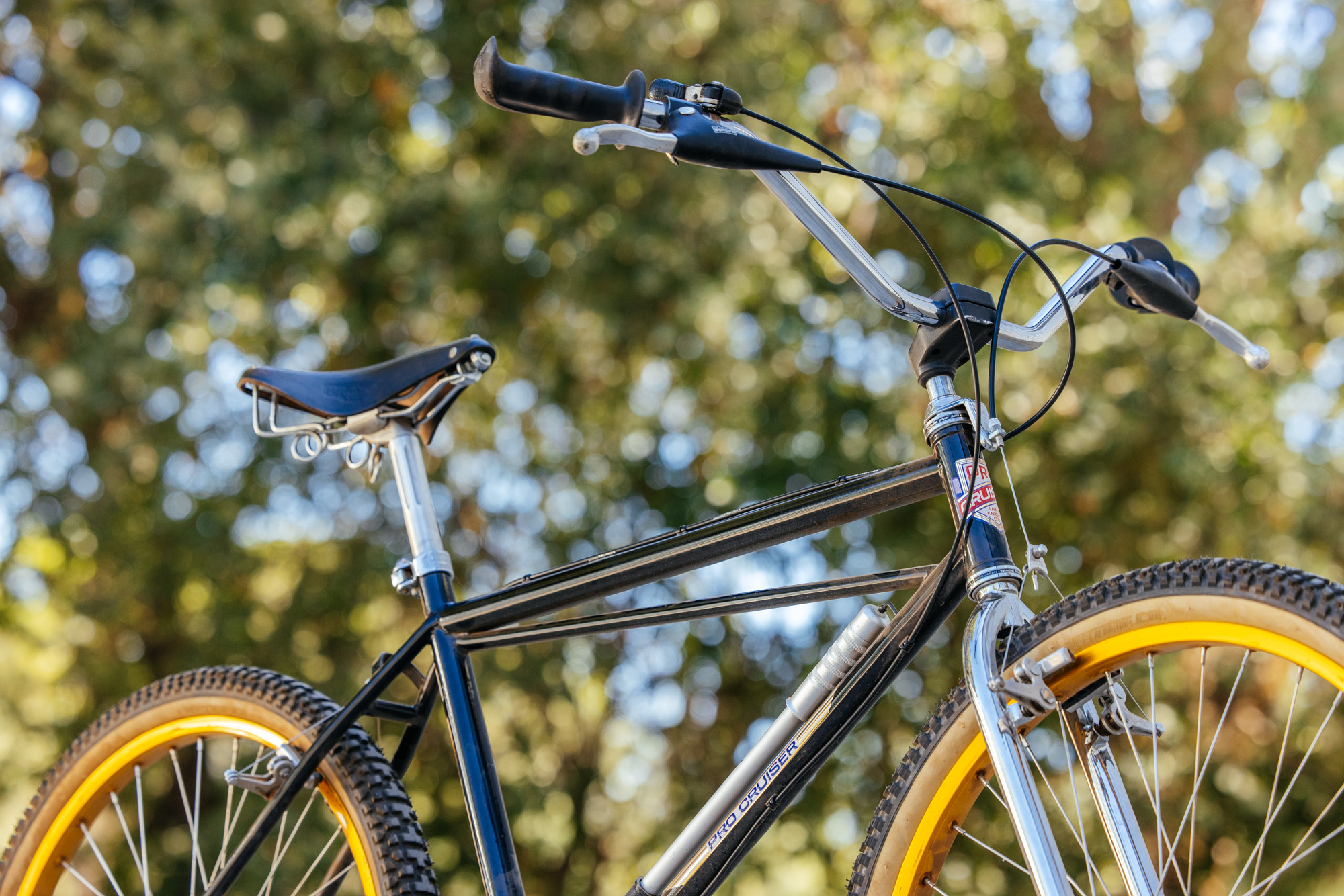 1979 Lawill Knight Pro Cruiser