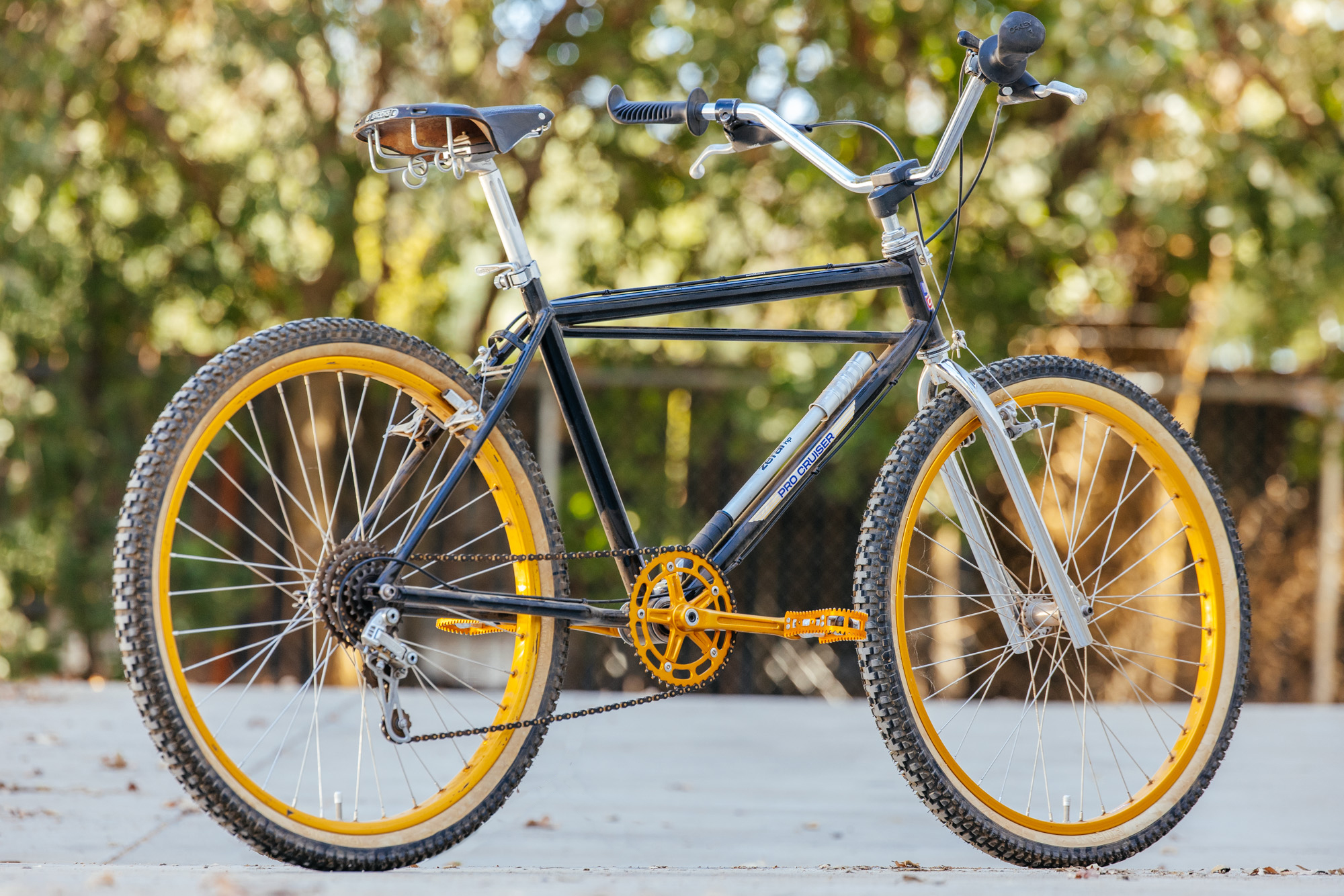 1979 Lawill Knight Pro Cruiser