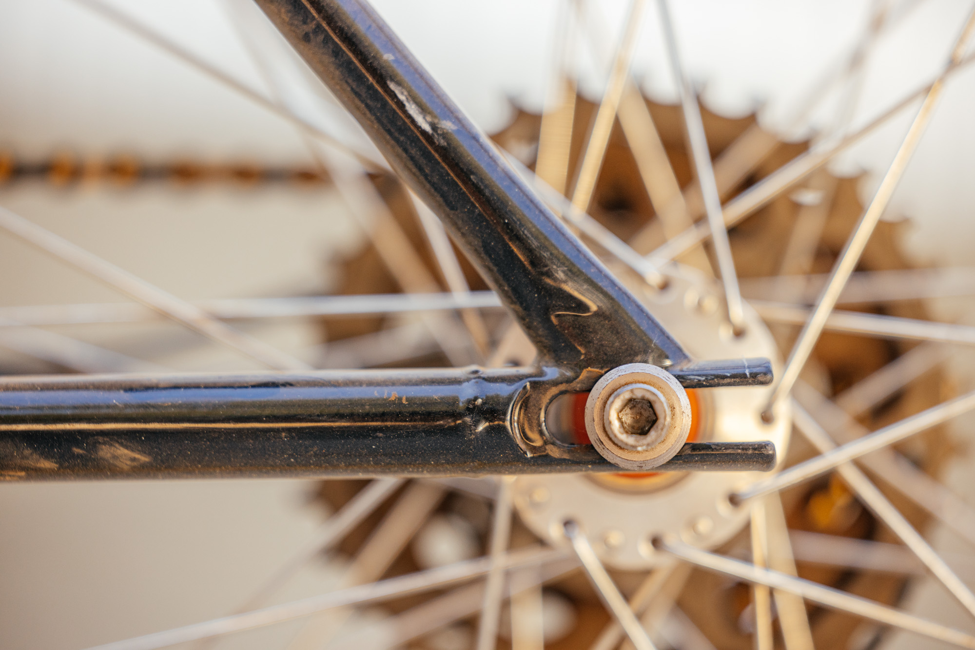 1979 Lawill Knight Pro Cruiser