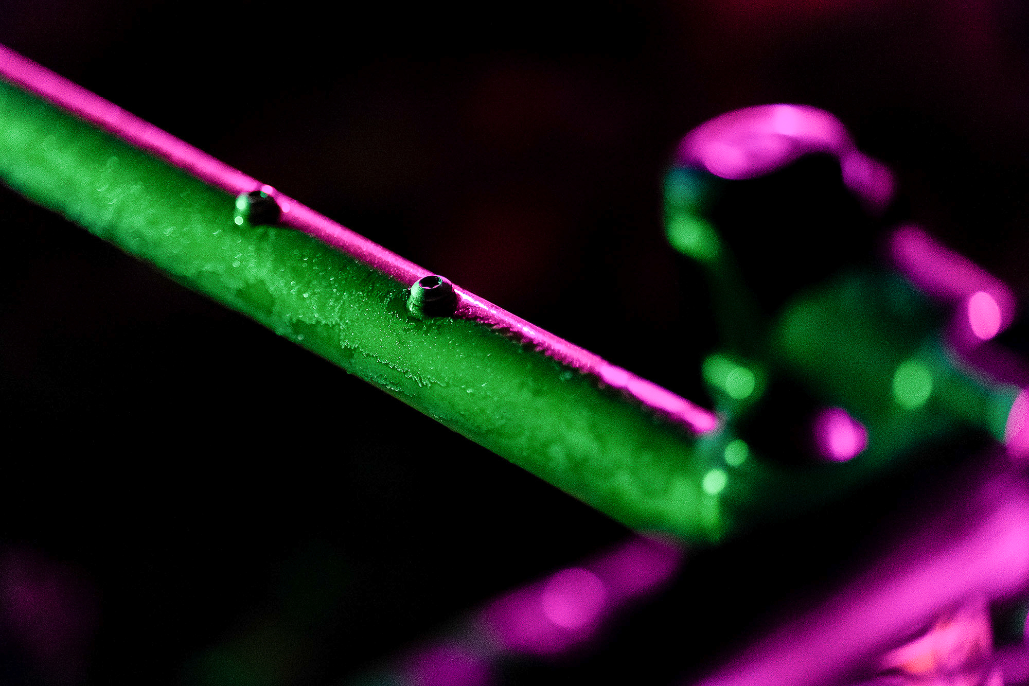 Drust Heckmech Review