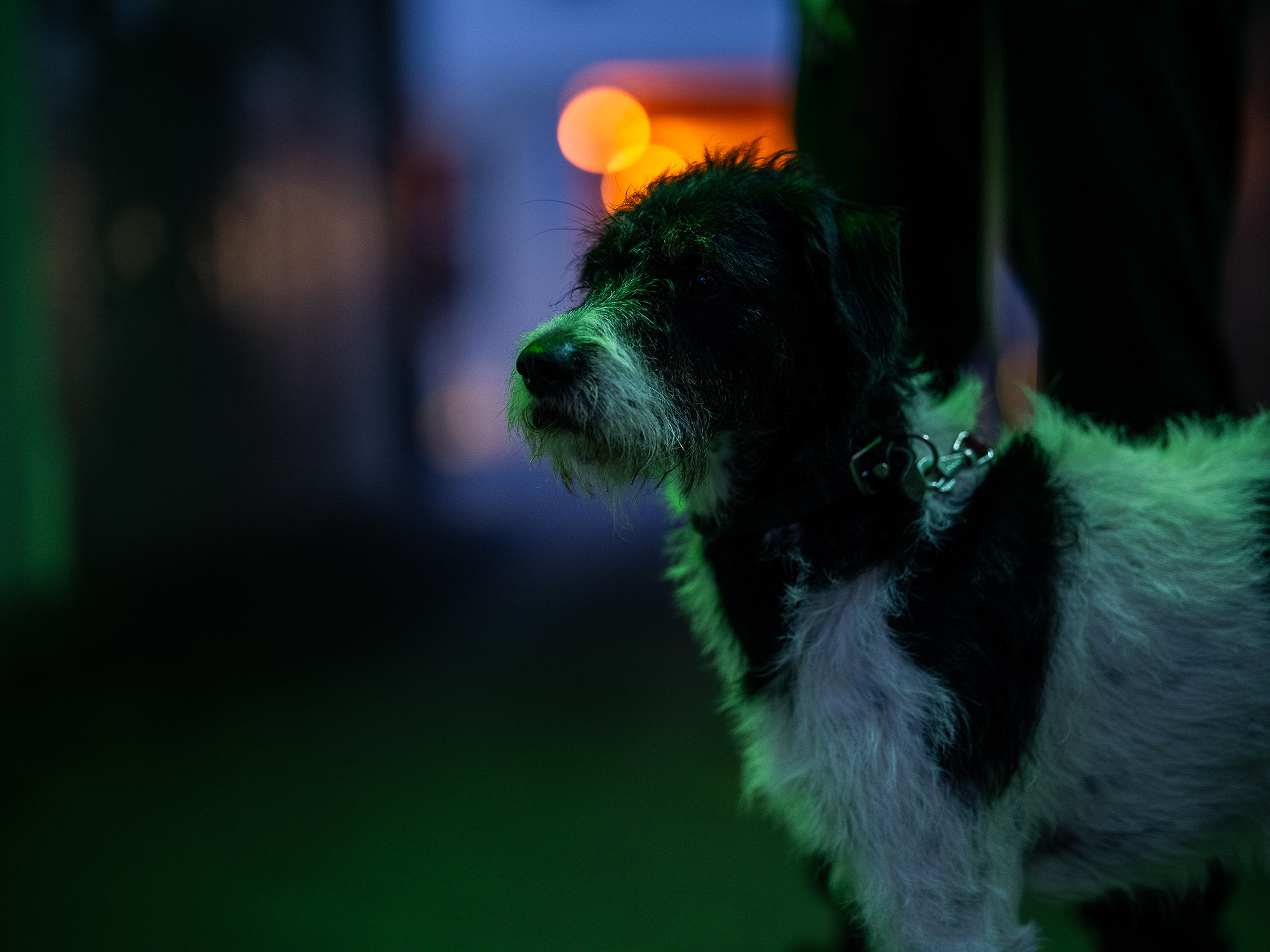 Drust Heckmech Review