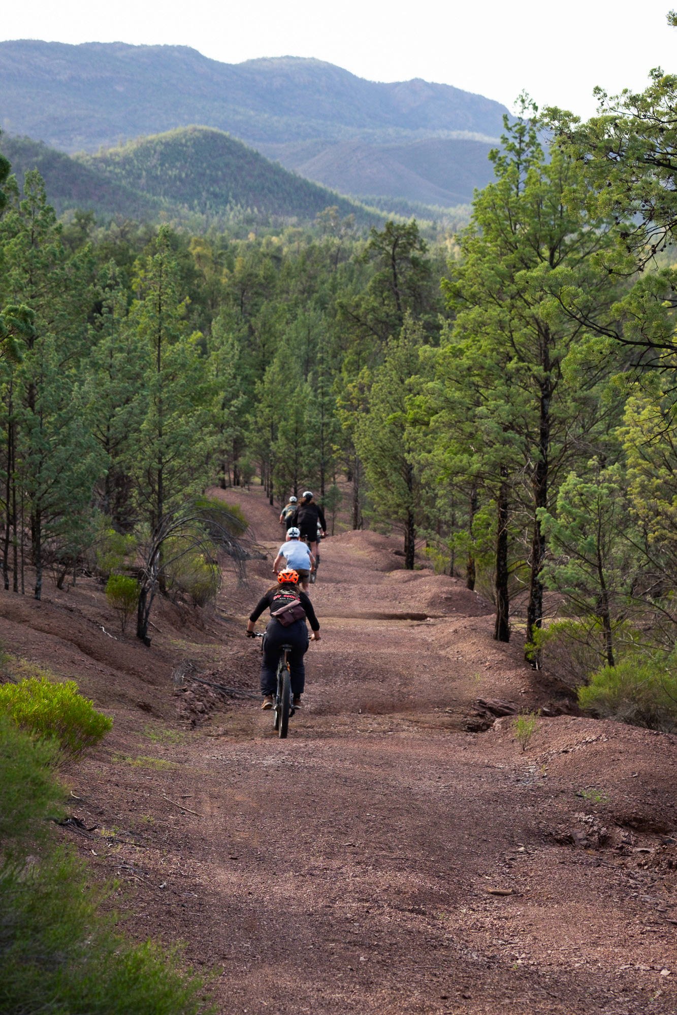 Ikara Flinders Range Bikepacking Expedition – Will Hartnett, Kia Matley ...