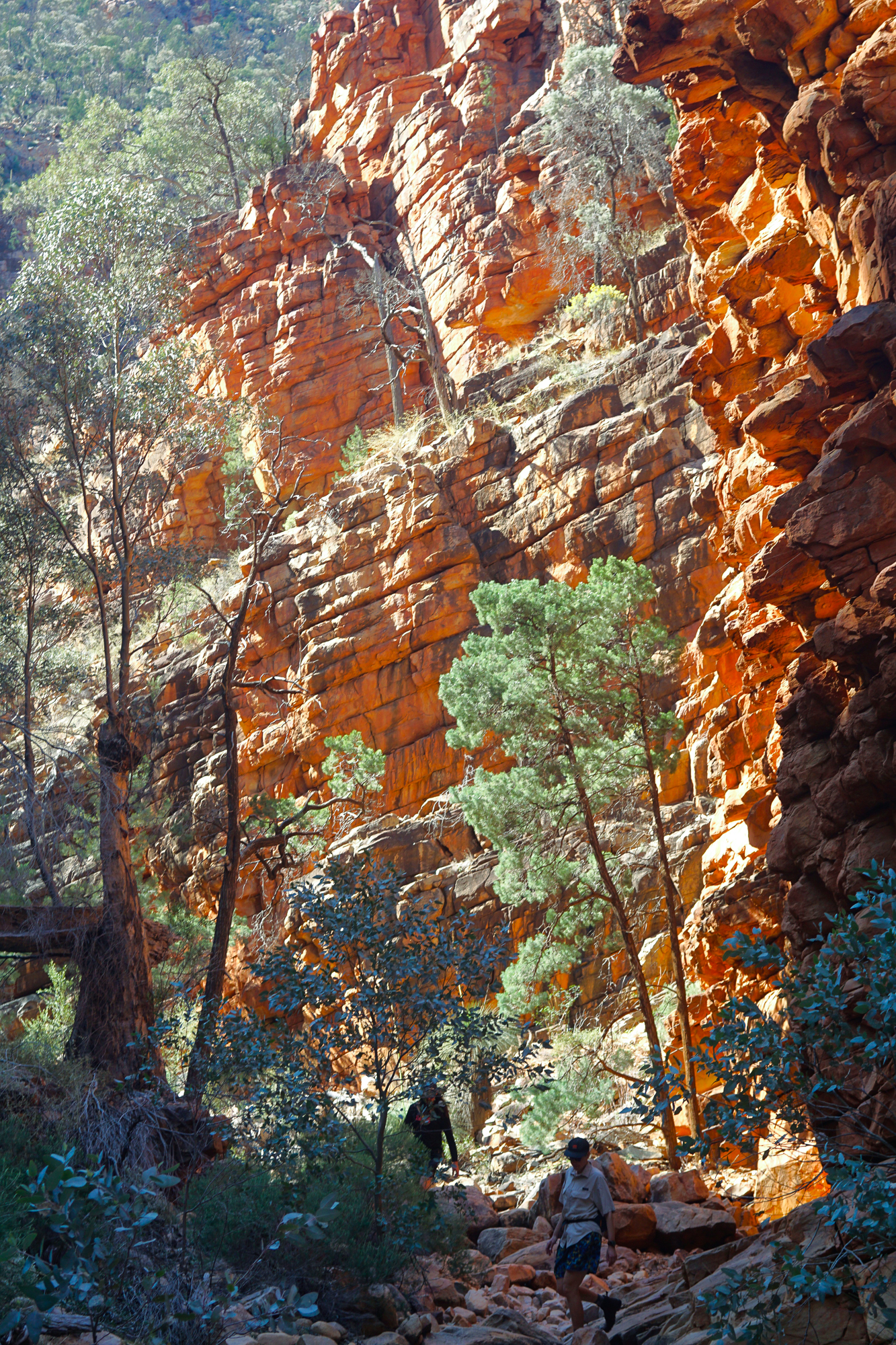 Ikara Flinders Range Bikepacking Expedition – Will Hartnett, Kia Matley ...