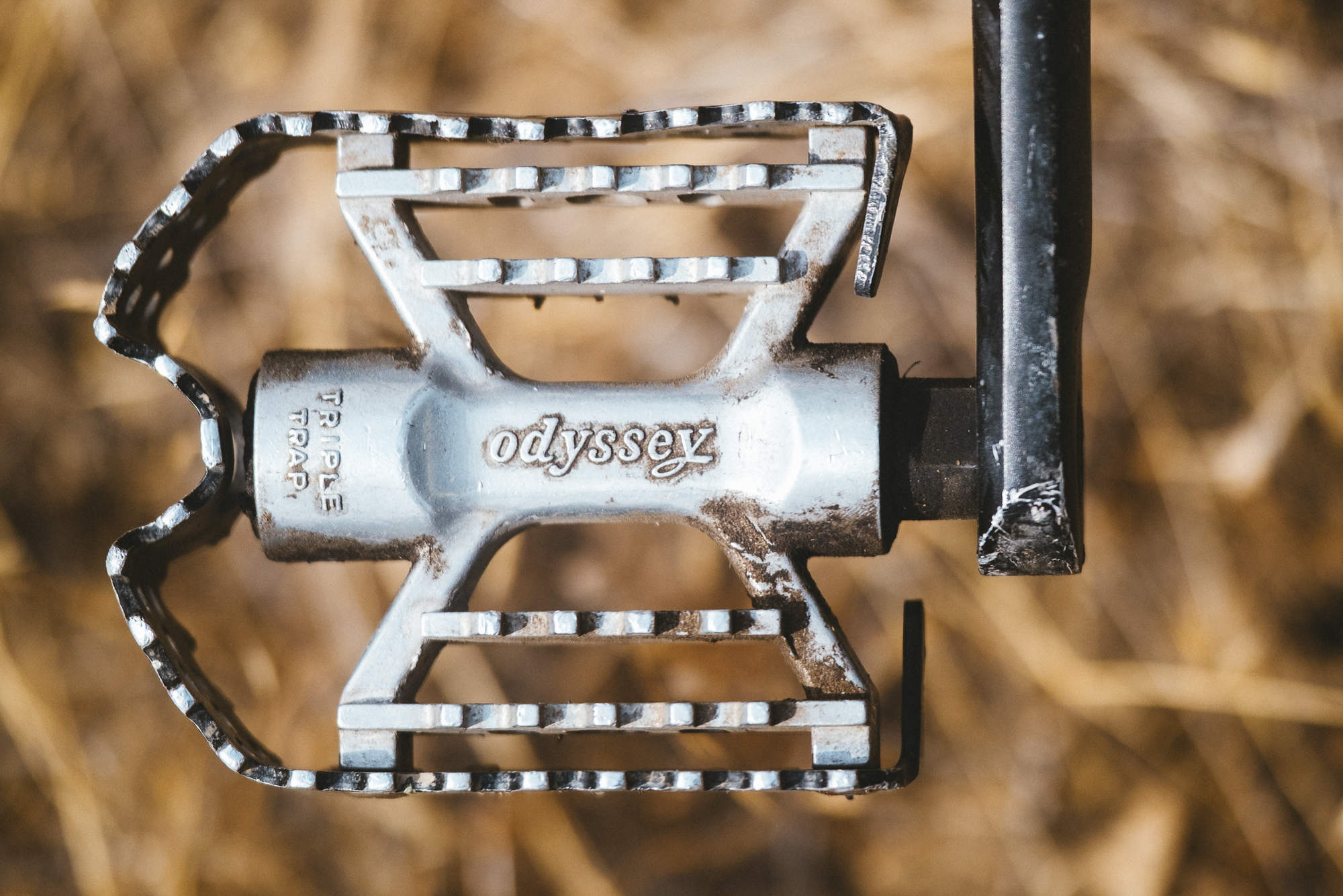 Radical Rigs: Taylor Wallace and Company Just Roly-Polying Along