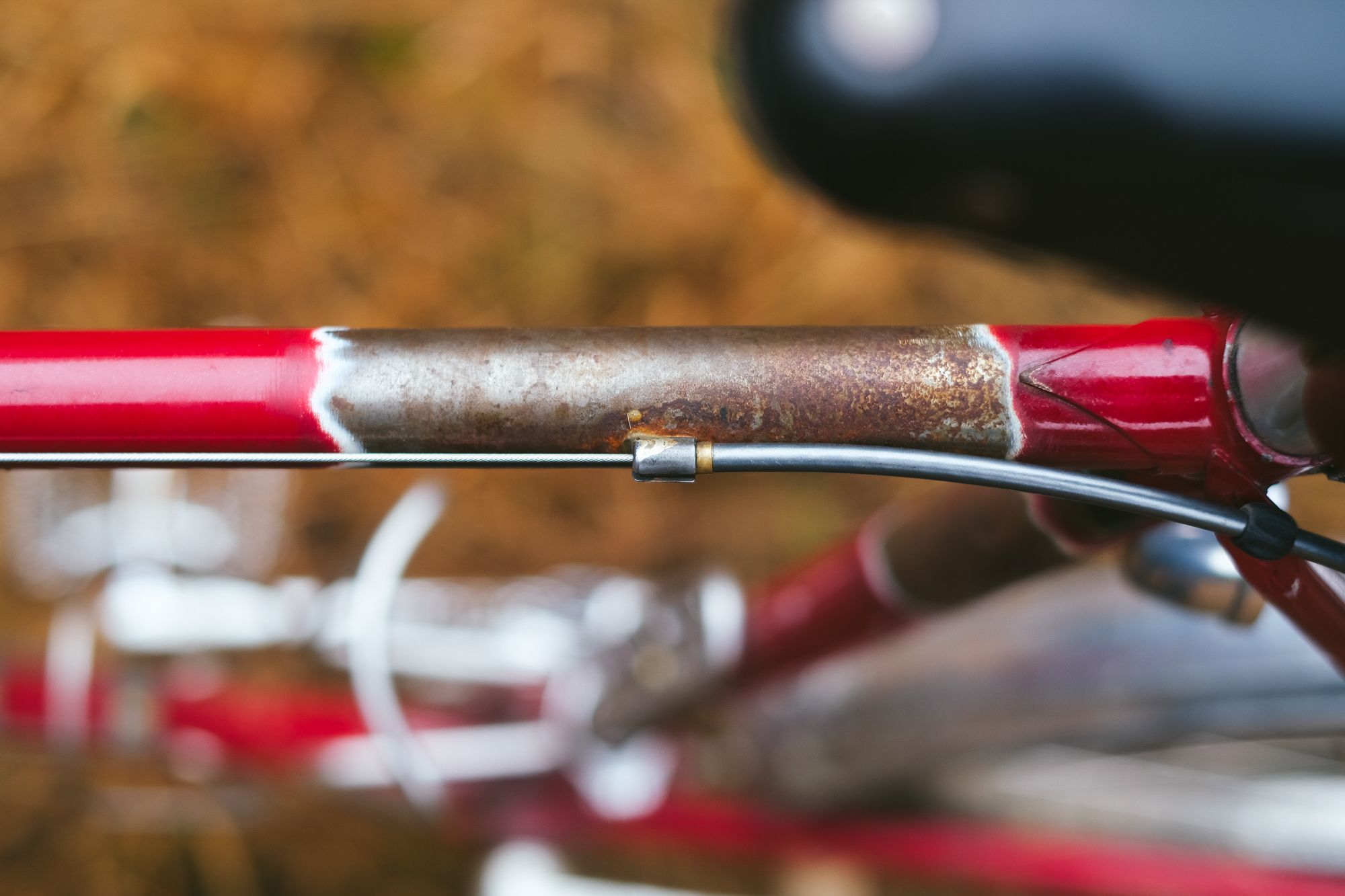 Rough Around the Edges: Reimagining My 1982 Trek 613