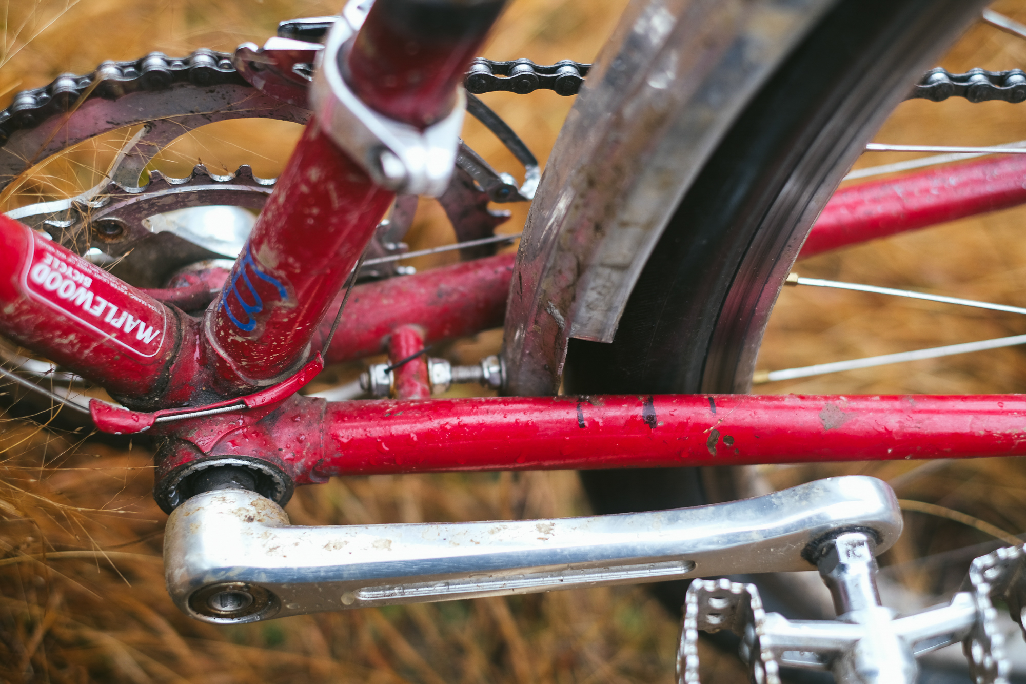 Rough Around the Edges: Reimagining My 1982 Trek 613