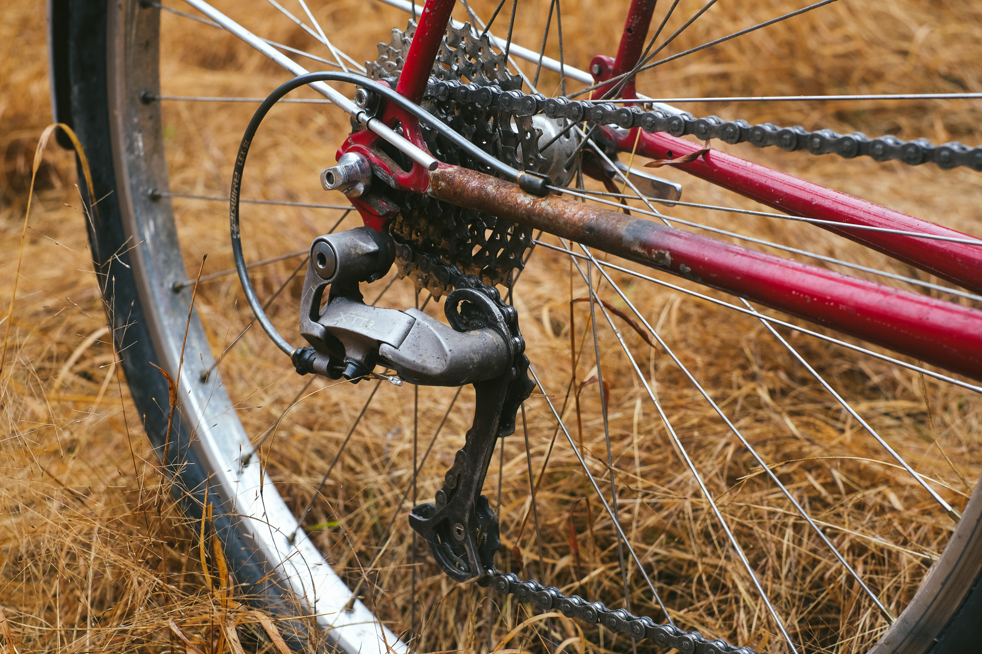 Rough Around the Edges: Reimagining My 1982 Trek 613