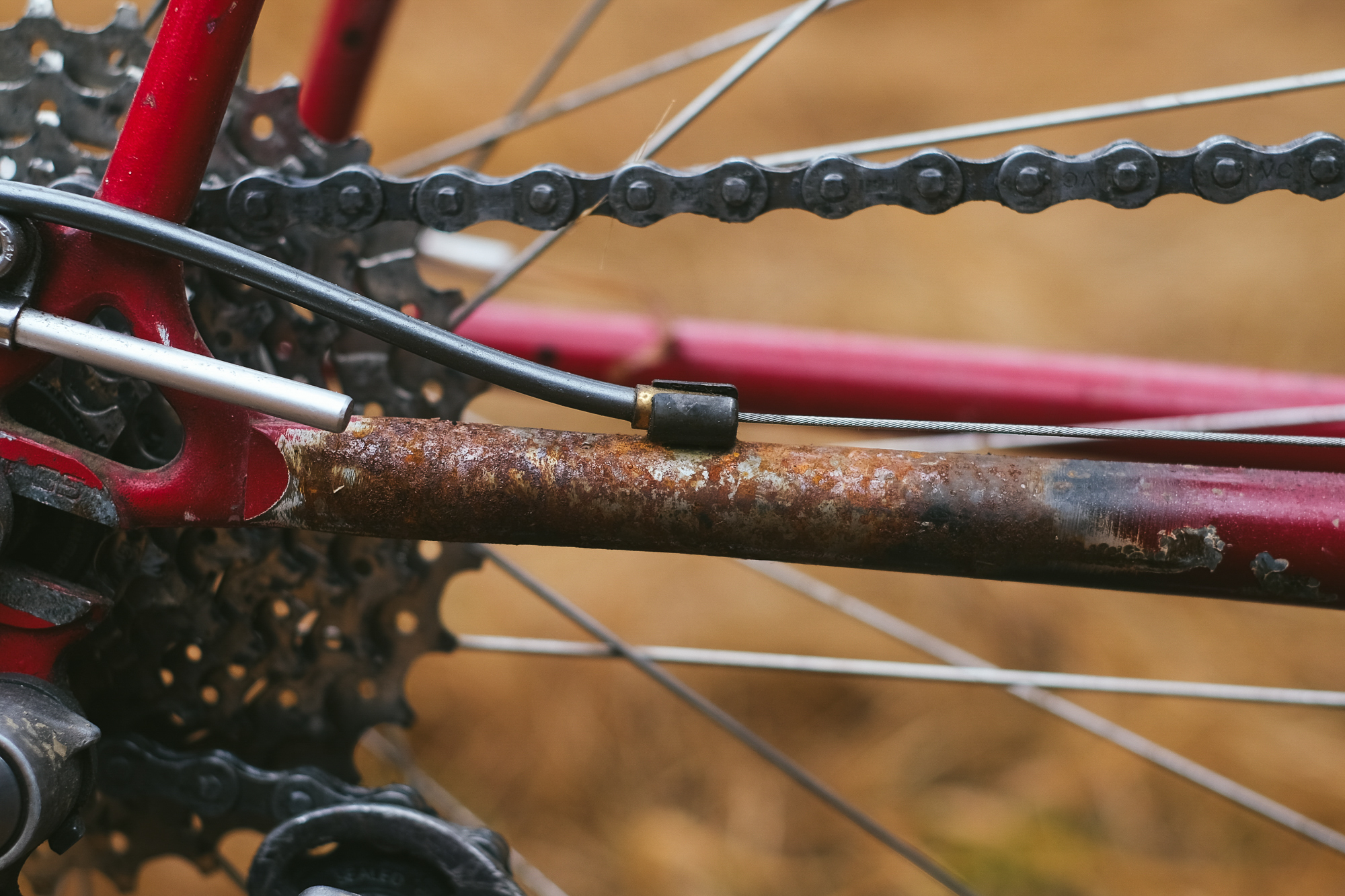 Rough Around the Edges: Reimagining My 1982 Trek 613