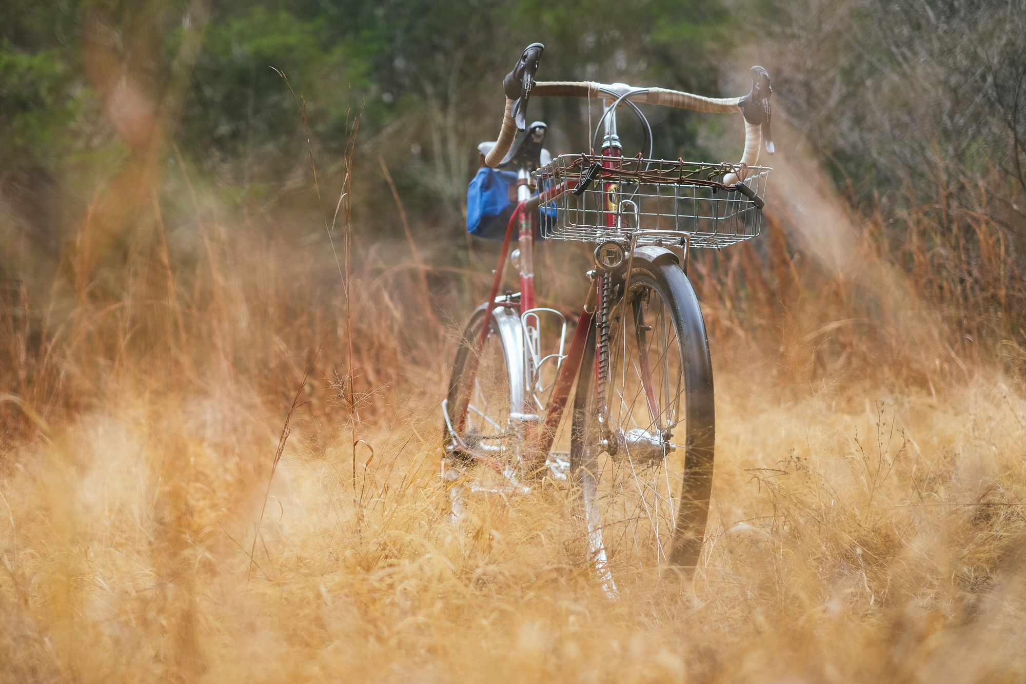 Rough Around the Edges: Reimagining My 1982 Trek 613