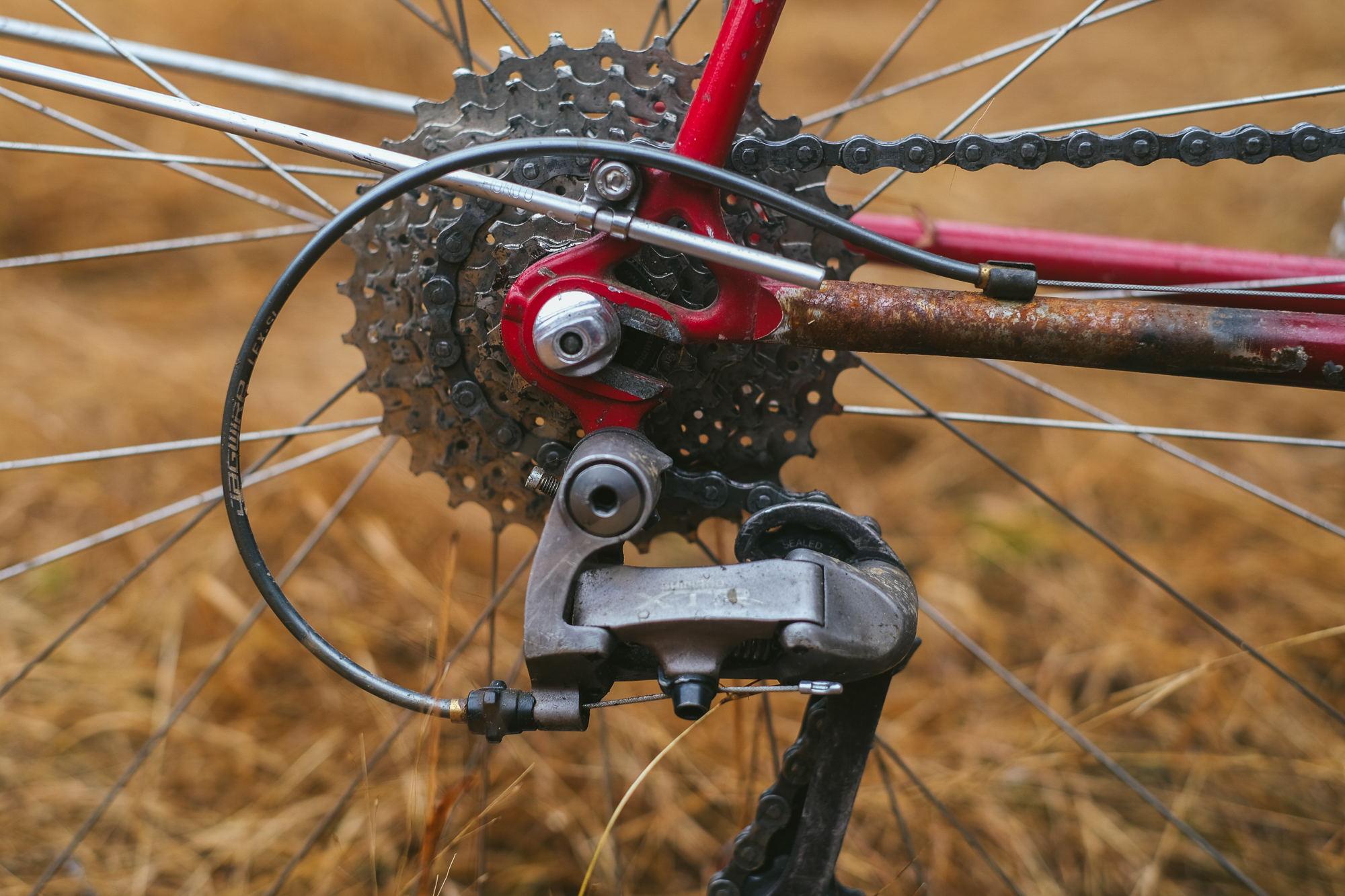 Rough Around the Edges: Reimagining My 1982 Trek 613