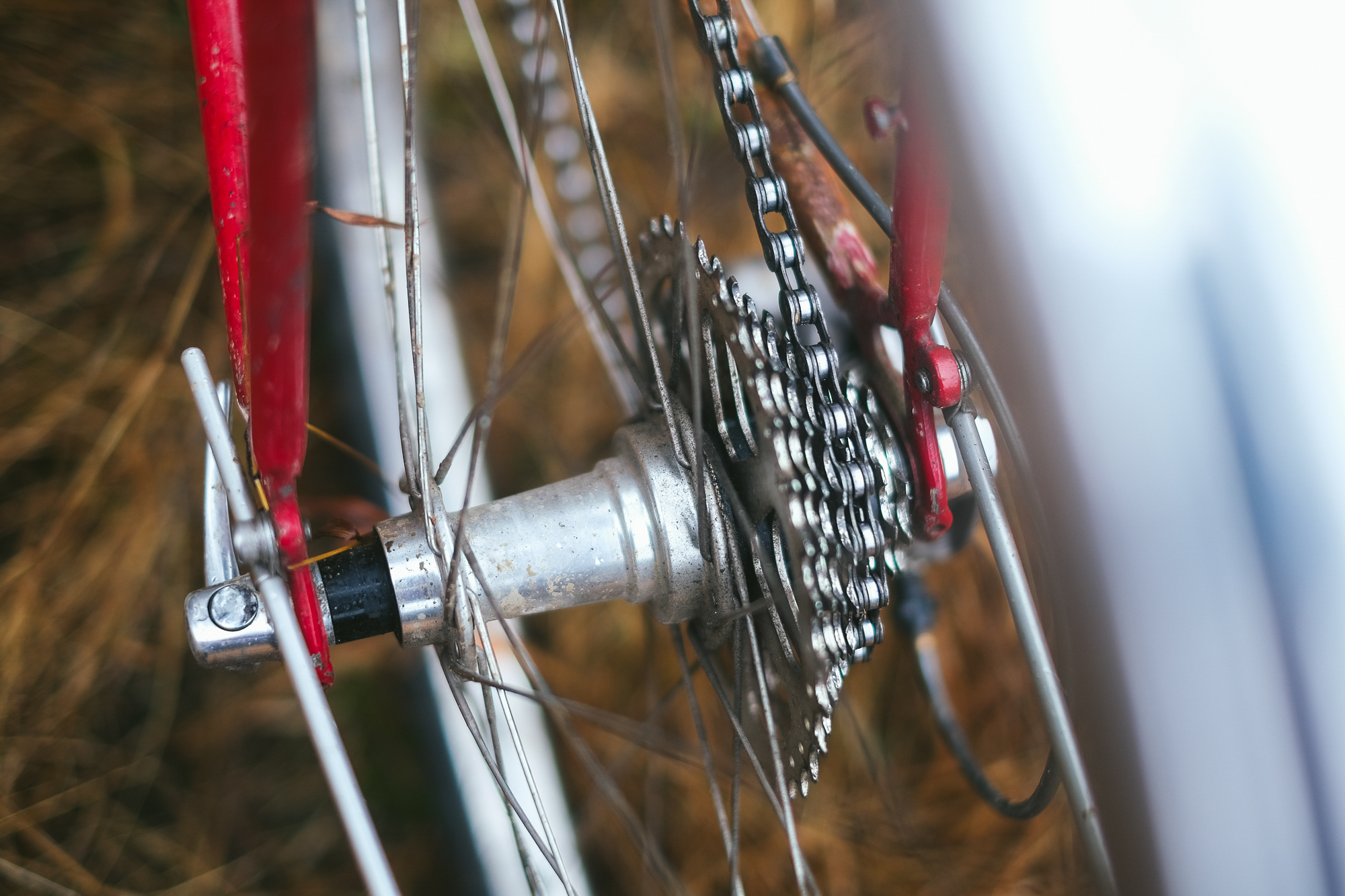 Rough Around the Edges: Reimagining My 1982 Trek 613