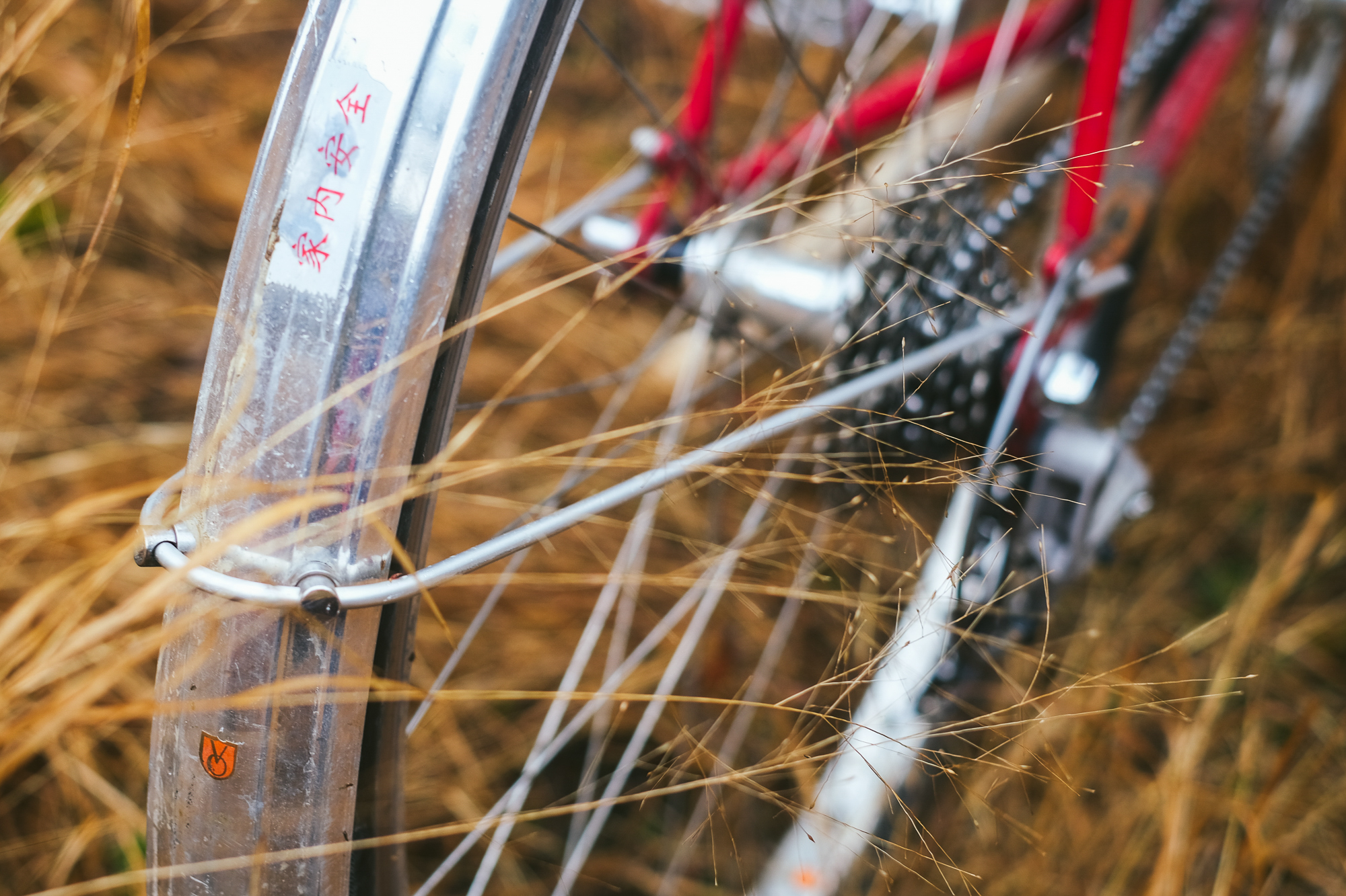 Rough Around the Edges: Reimagining My 1982 Trek 613