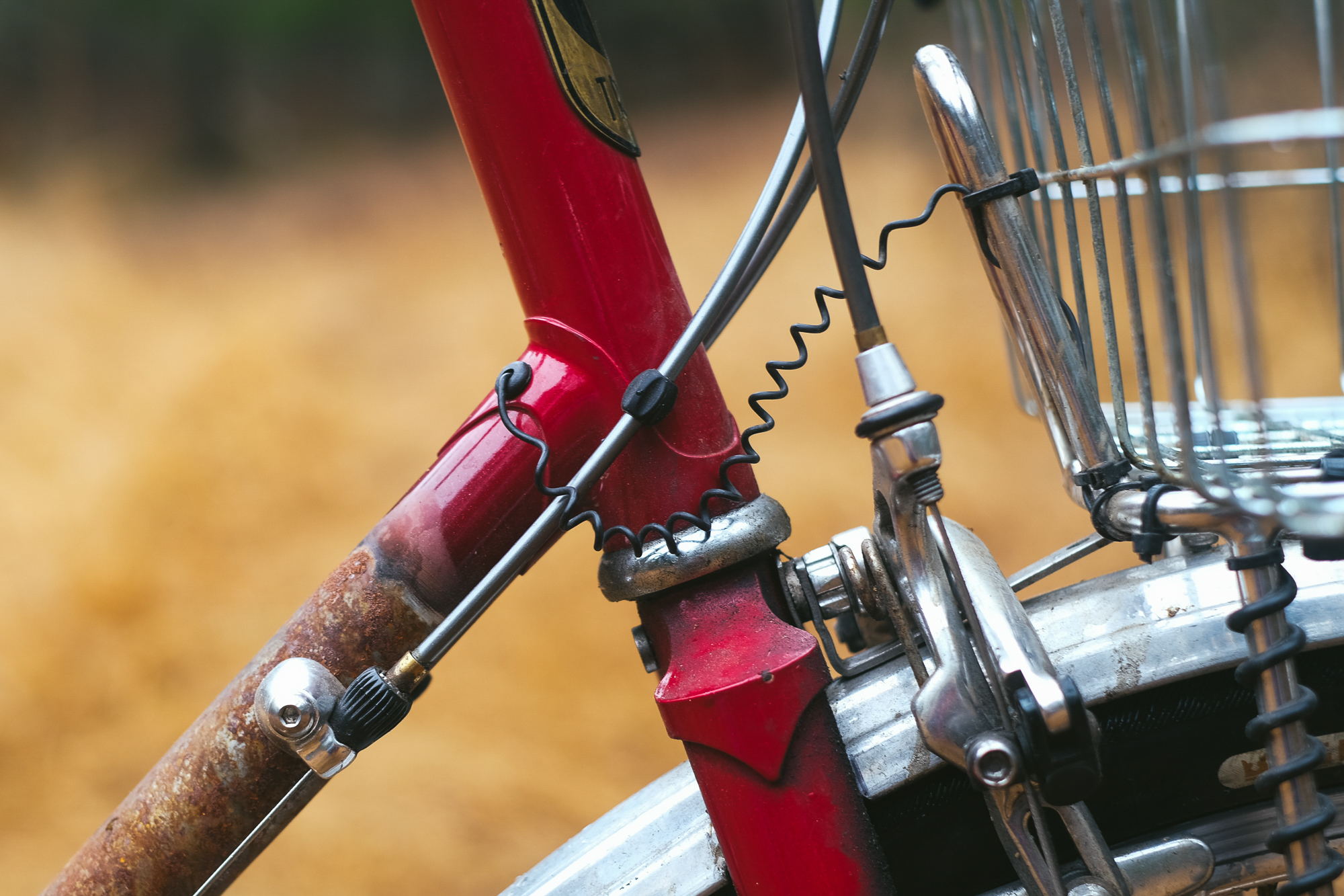 Rough Around the Edges: Reimagining My 1982 Trek 613