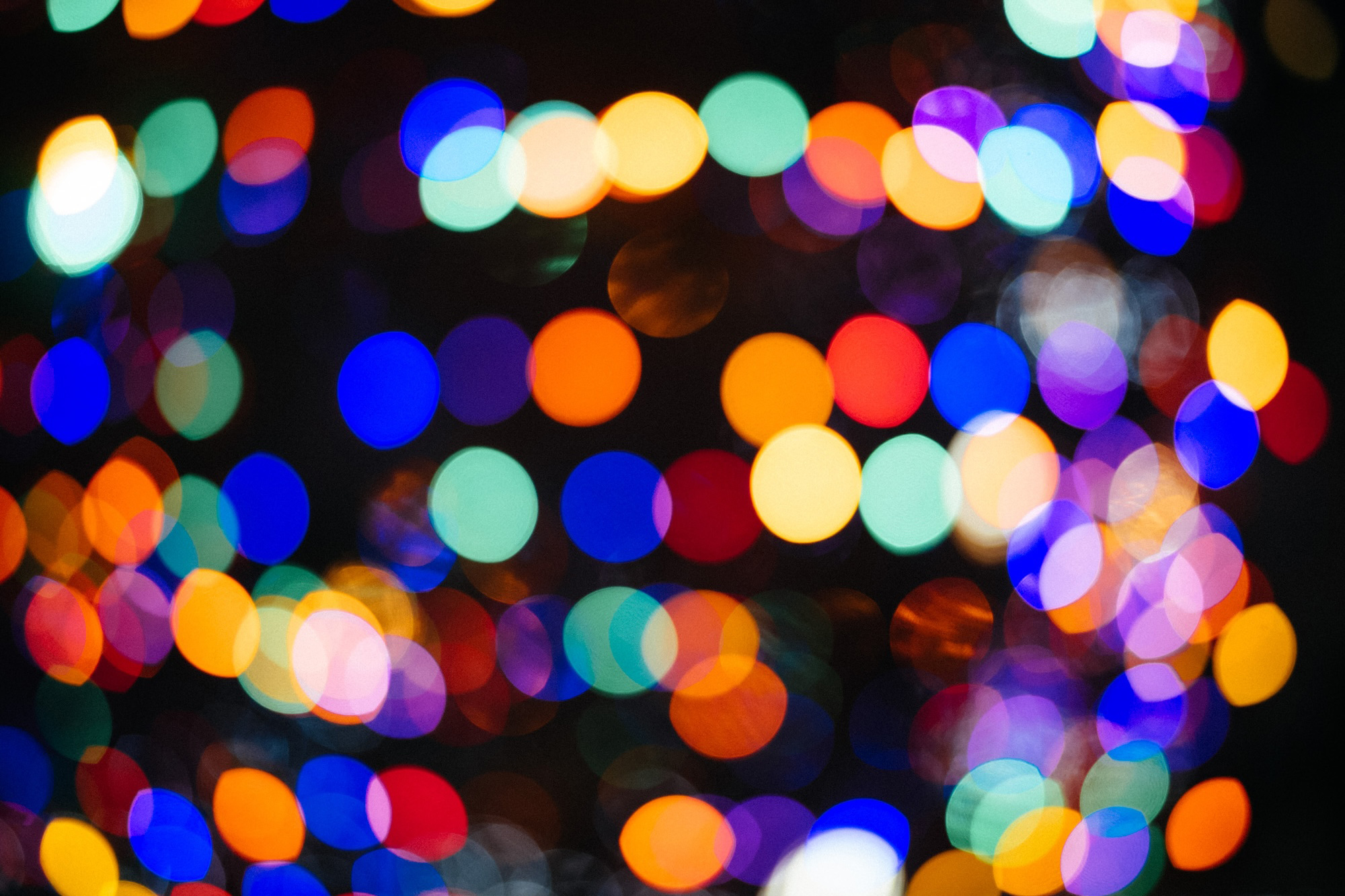 Happy Holidays from The Radavist | The Radavist