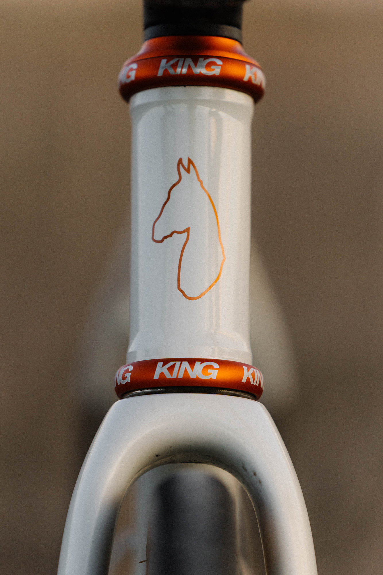 Horse Cycles Ti All Road Racer - 14