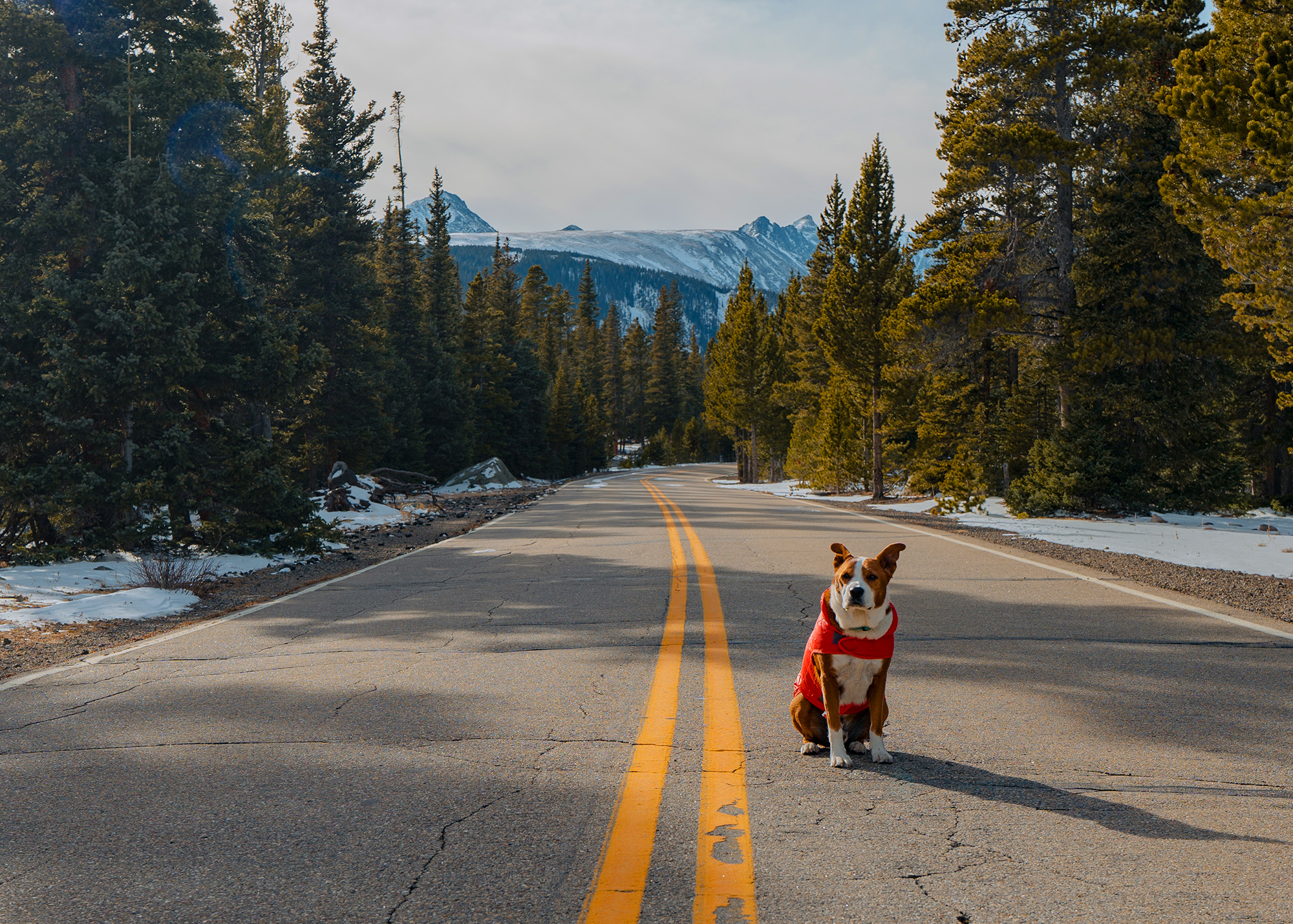 Horse Cycles Ti All Road Racer - 21