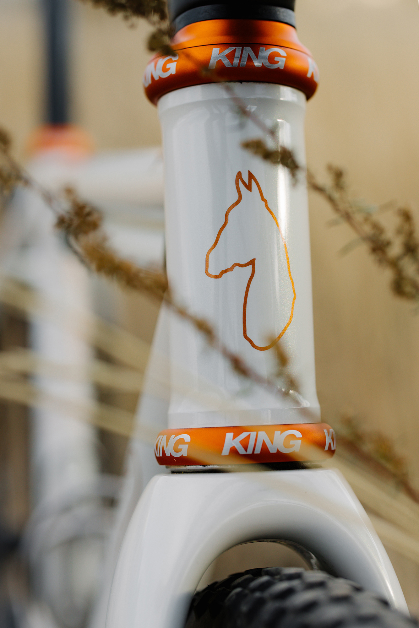 Horse Cycles Ti All Road Racer - 6