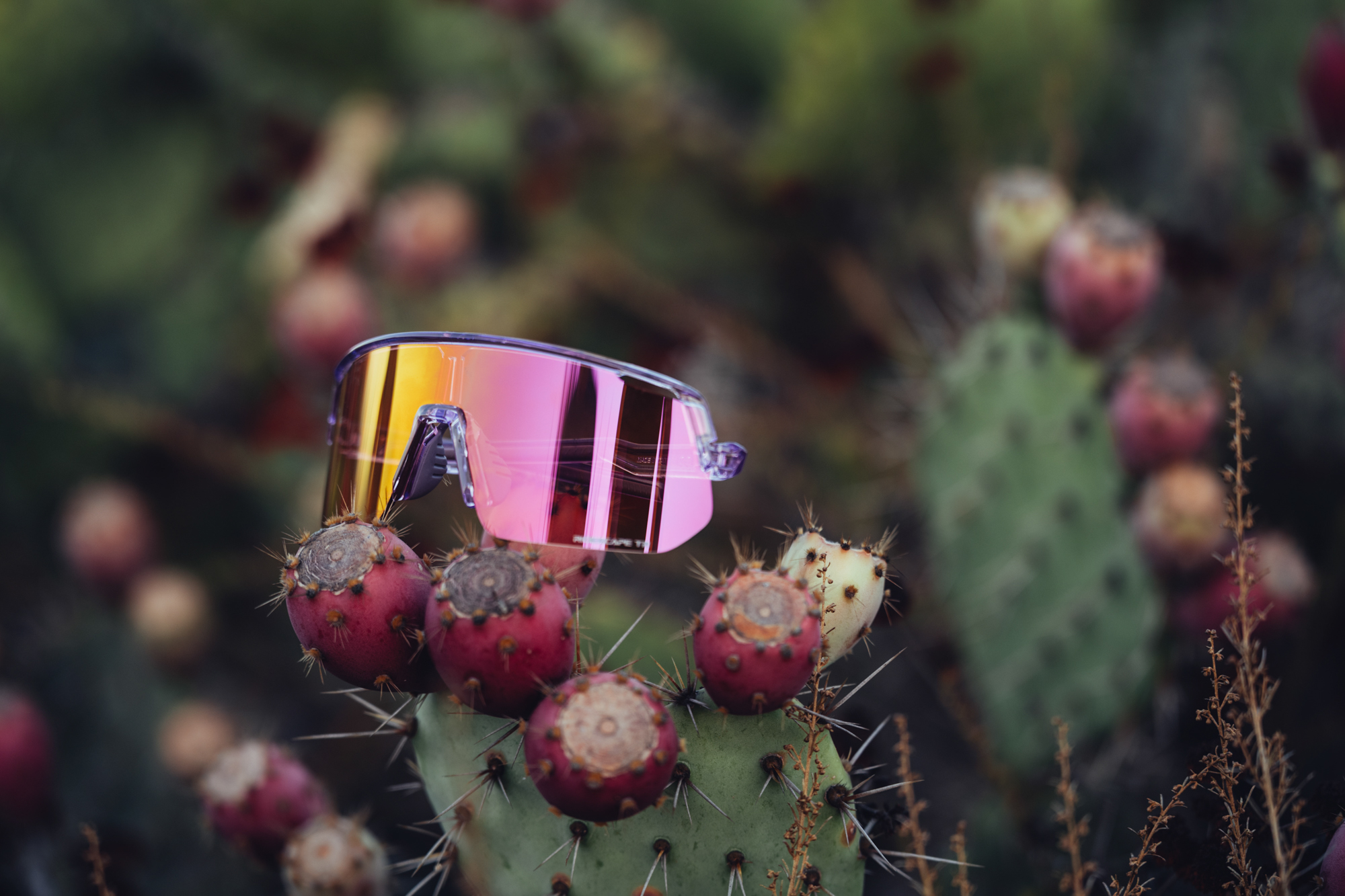 Shimano Ridescape Lens Options for Road, Gravel, and Trail Riders