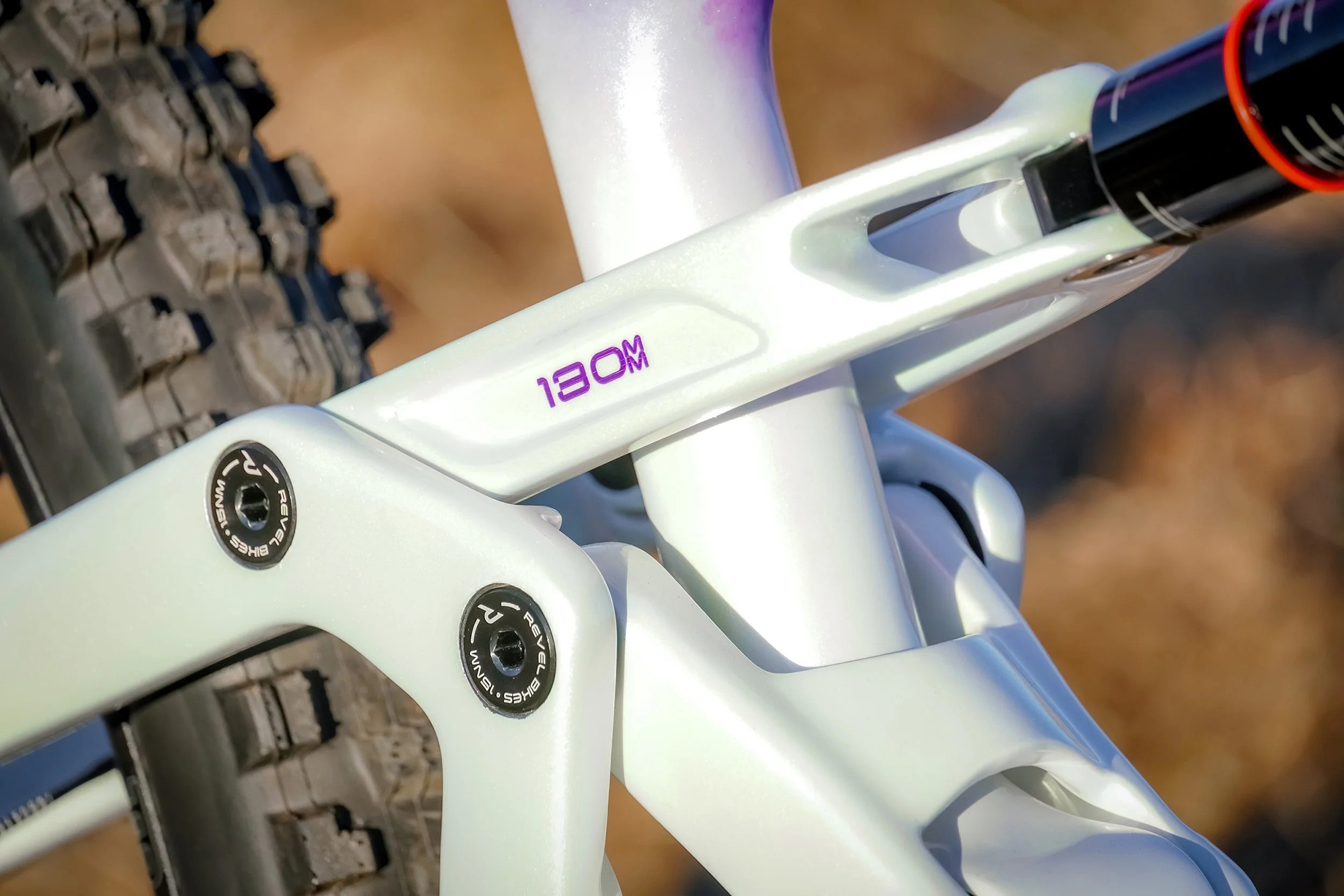 Support LoveYourBrain and Be Entered to Win this Wild Revel Rascal