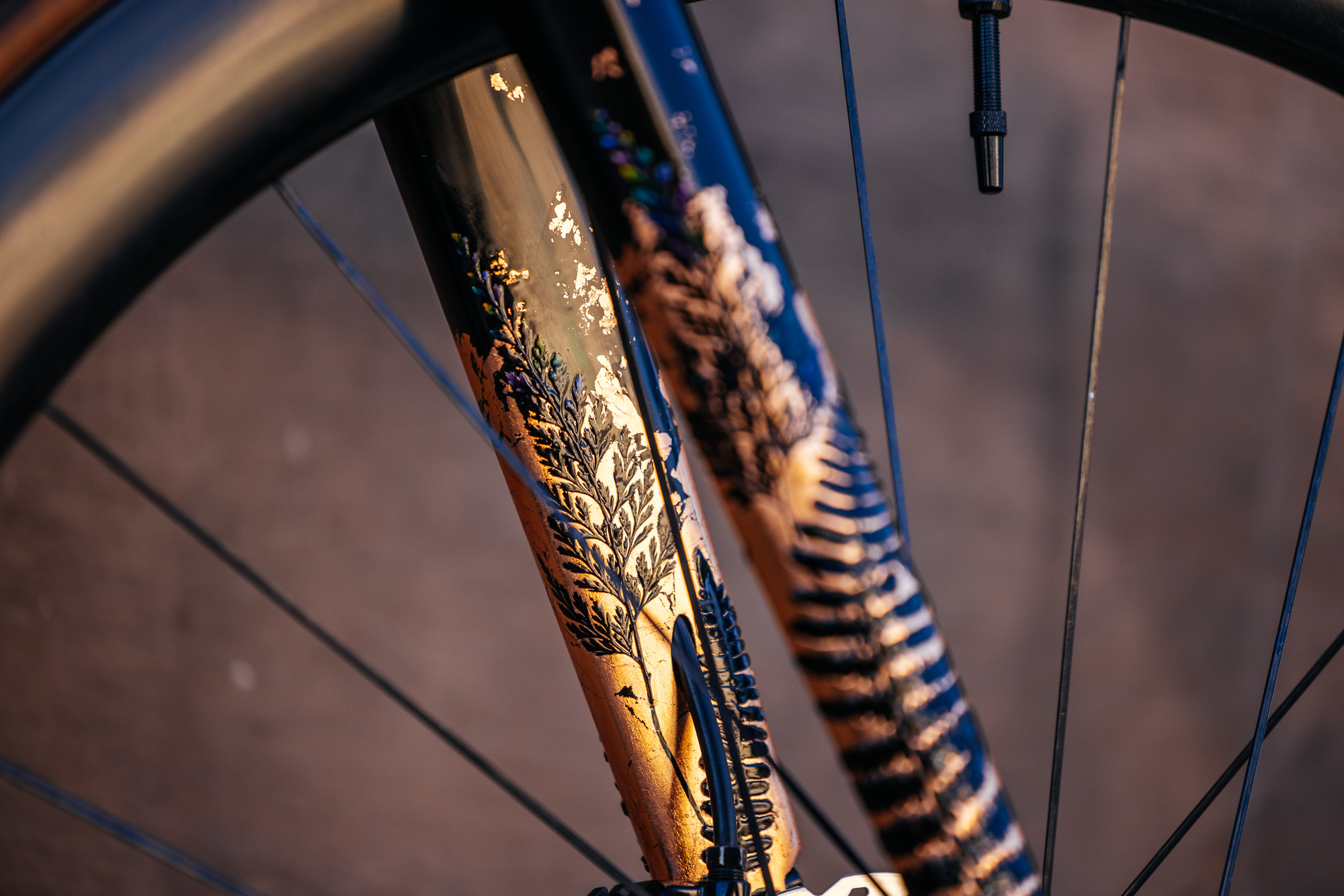 Molly and Her Hand Painted Bicycles-10