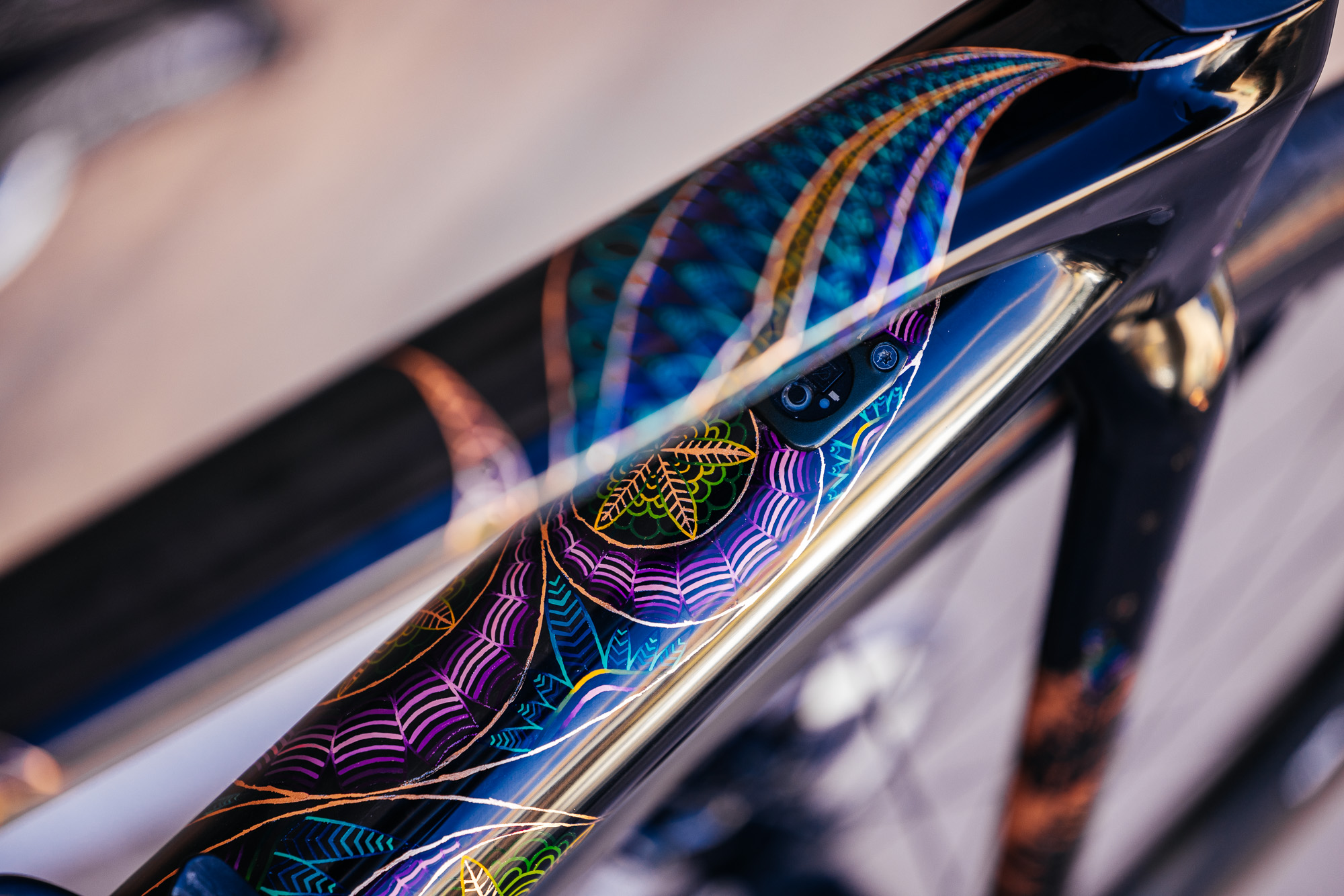 Molly and Her Hand Painted Bicycles-12