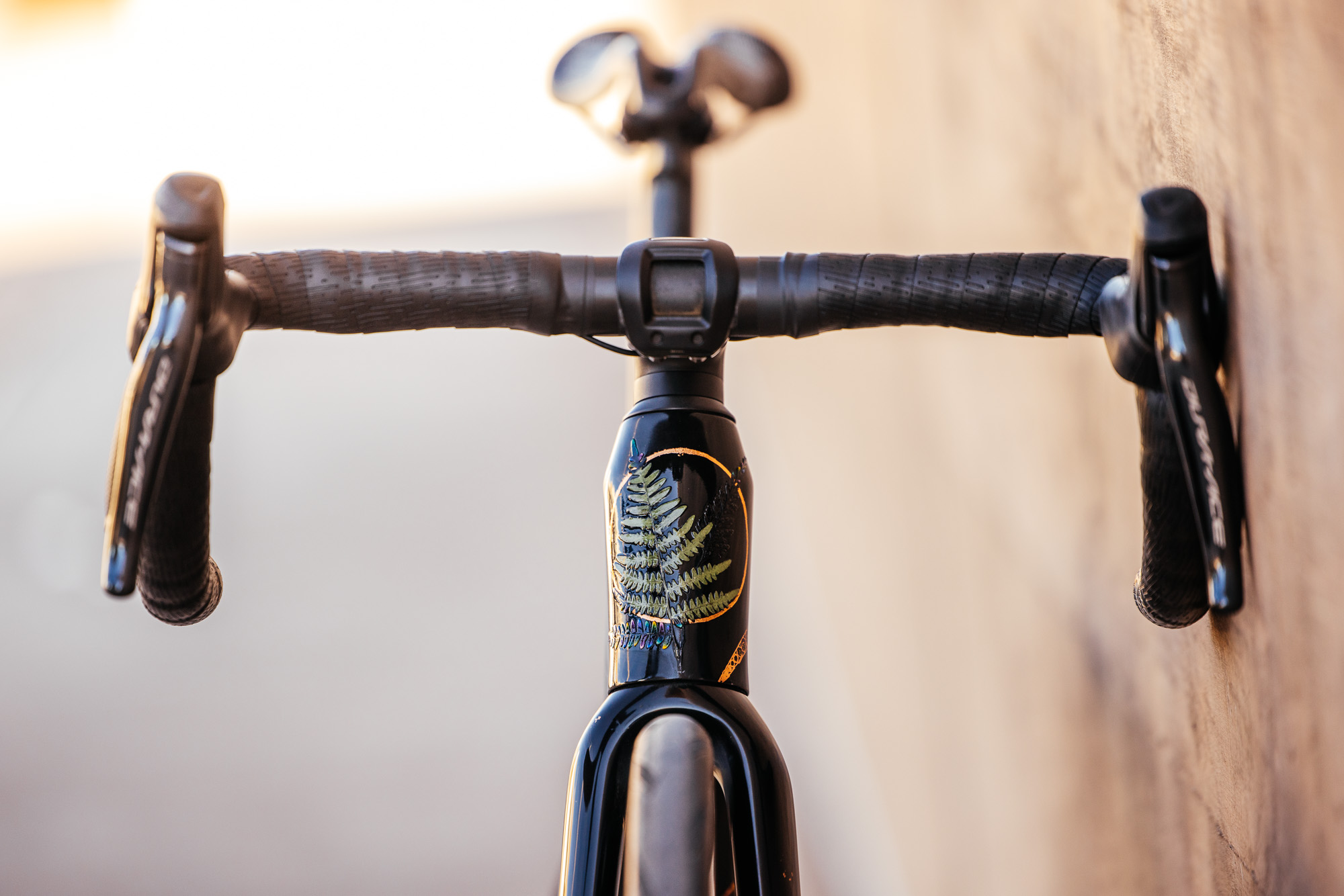 Molly and Her Hand Painted Bicycles-19