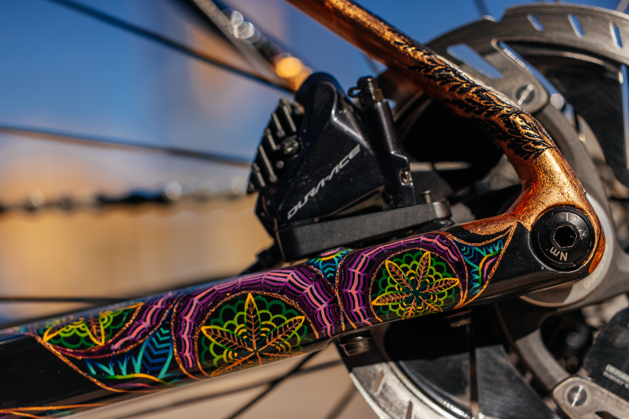 Molly and Her Hand Painted Bicycles-23