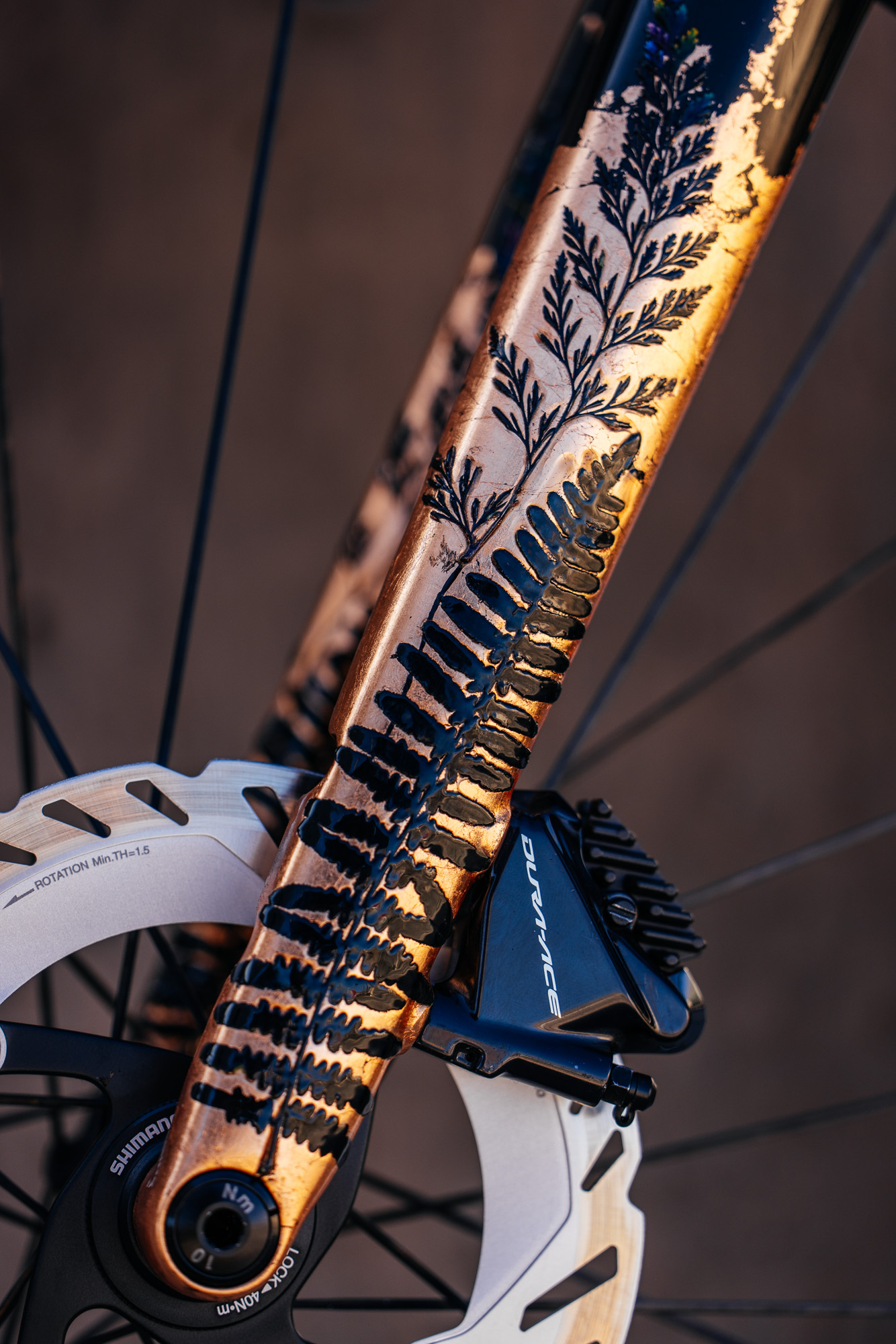 Molly and Her Hand Painted Bicycles-24