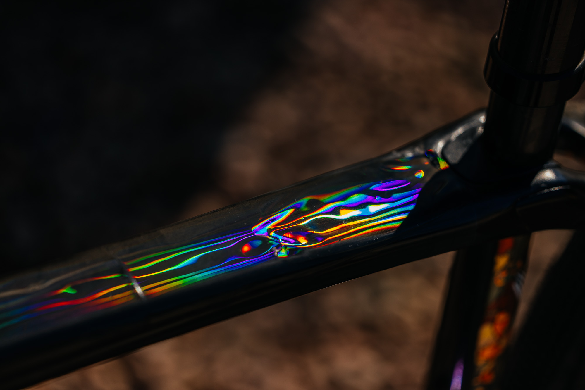 Molly and Her Hand Painted Bicycles-30